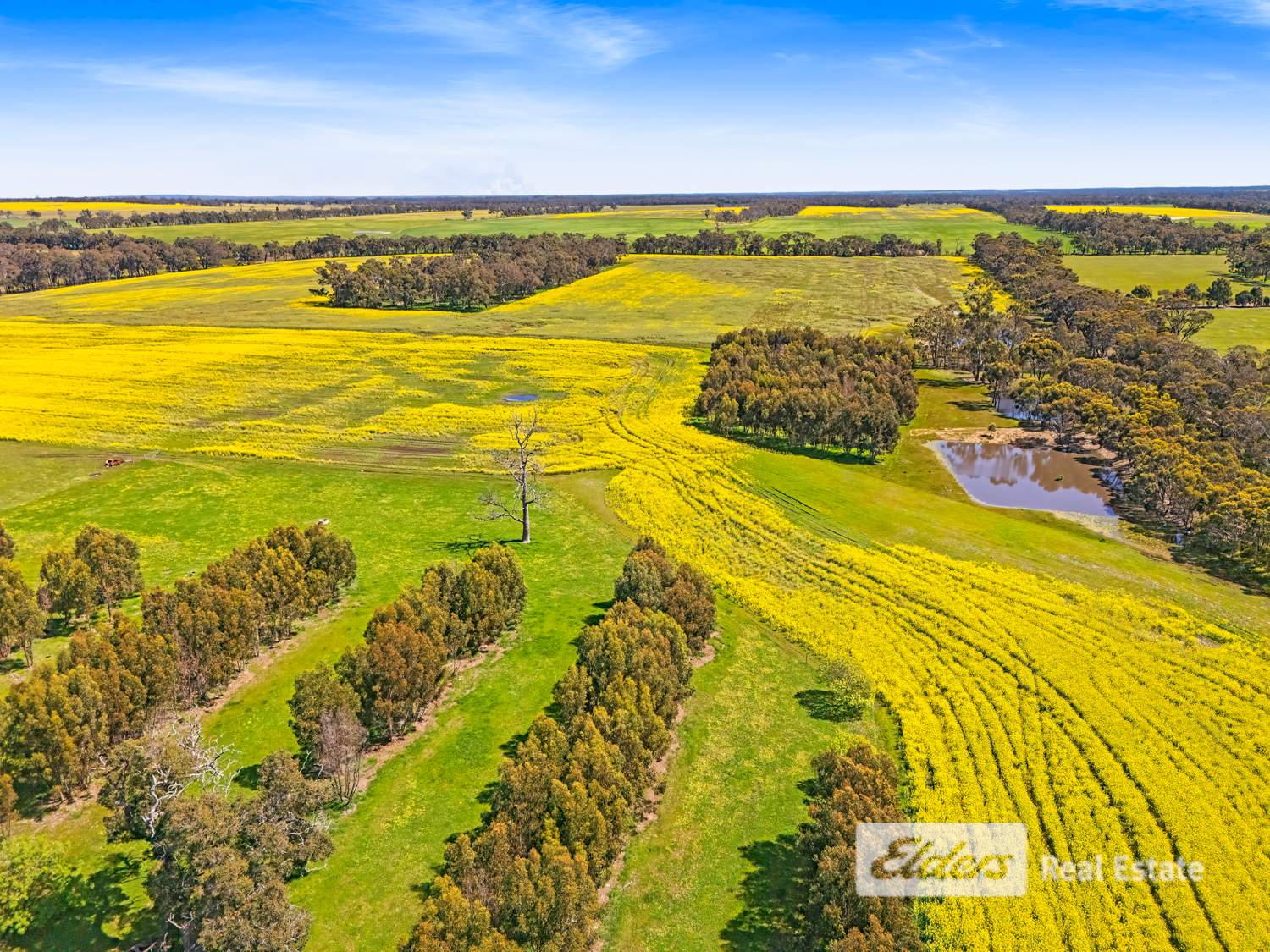 225 West Beattie Road, Mount Barker For Sale by Farmbuy.com - image 7