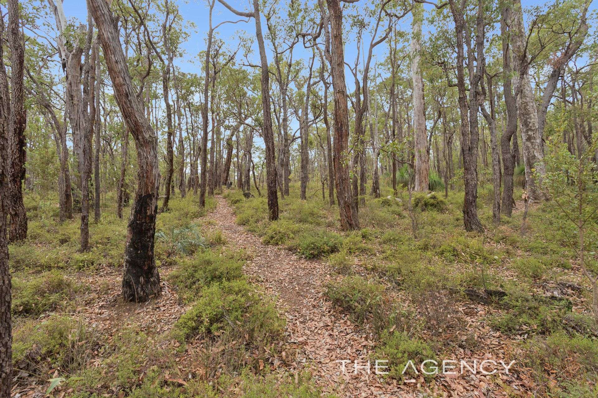 220 Tarrup Street, Chidlow For Sale by Farmbuy.com - image 32