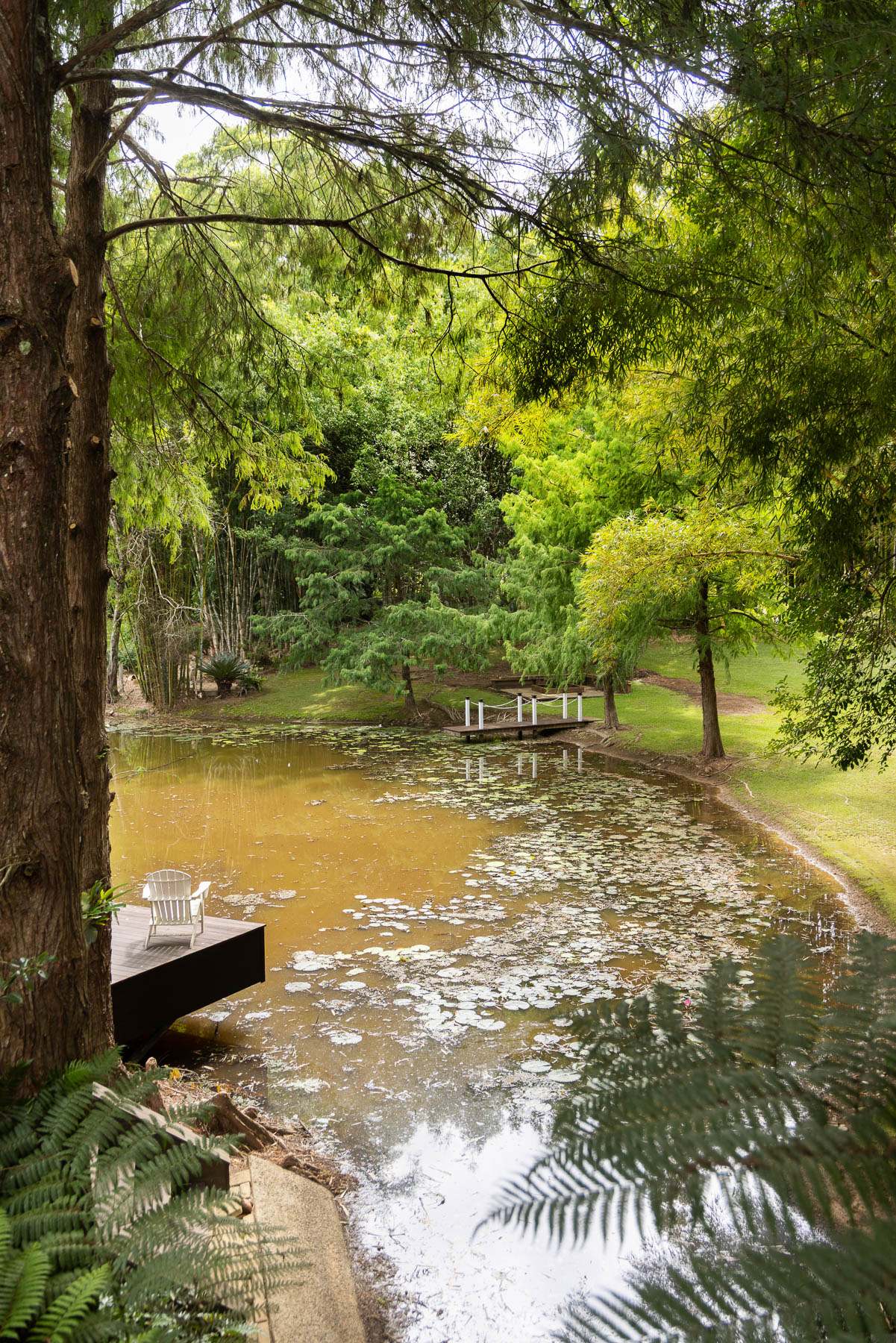 210 Lone Hand Road, Eumundi For Sale by Farmbuy.com - image 30