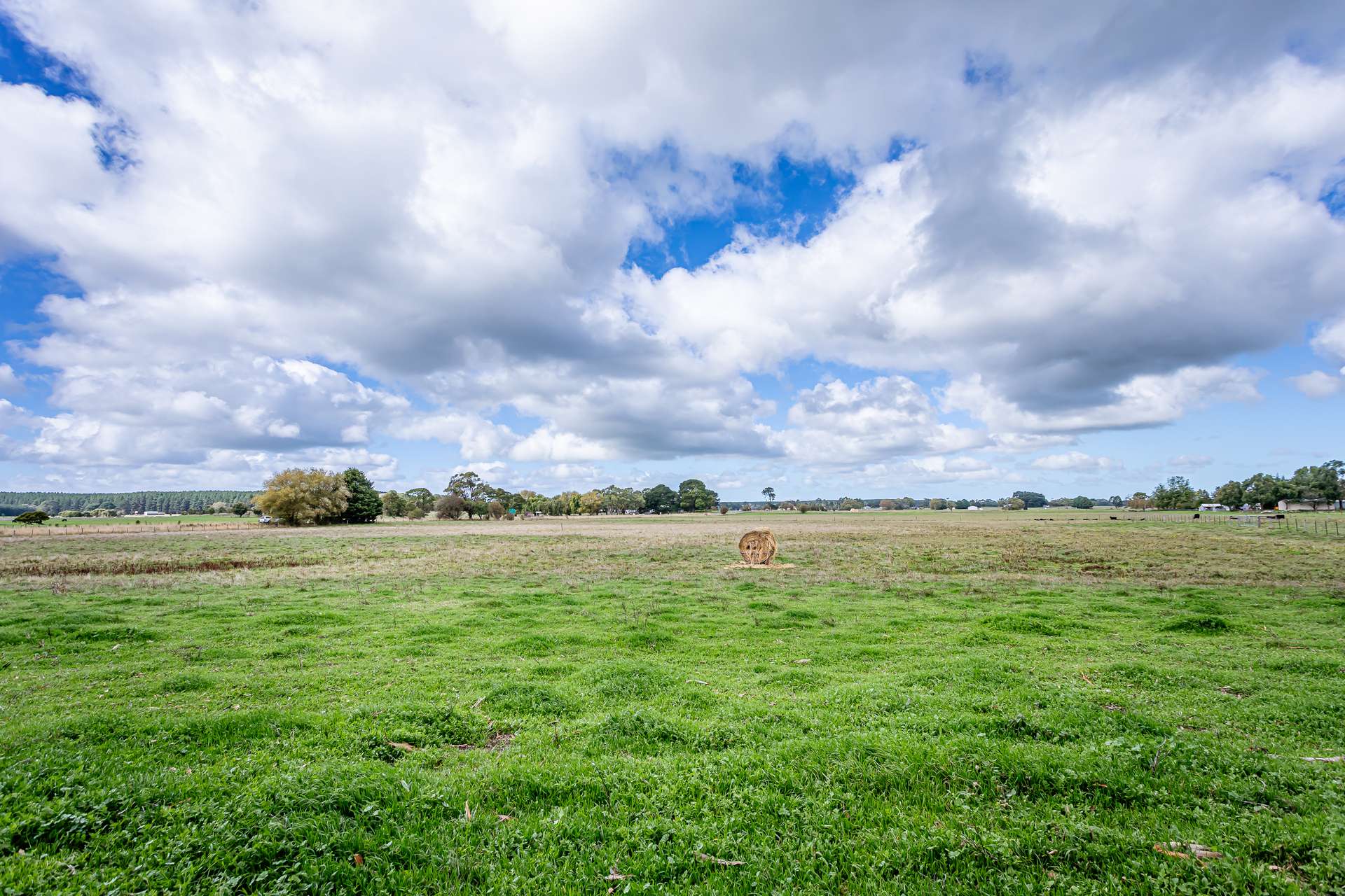 1668 Kangaroo Flat Road, Glencoe For Sale by Farmbuy.com - image 26