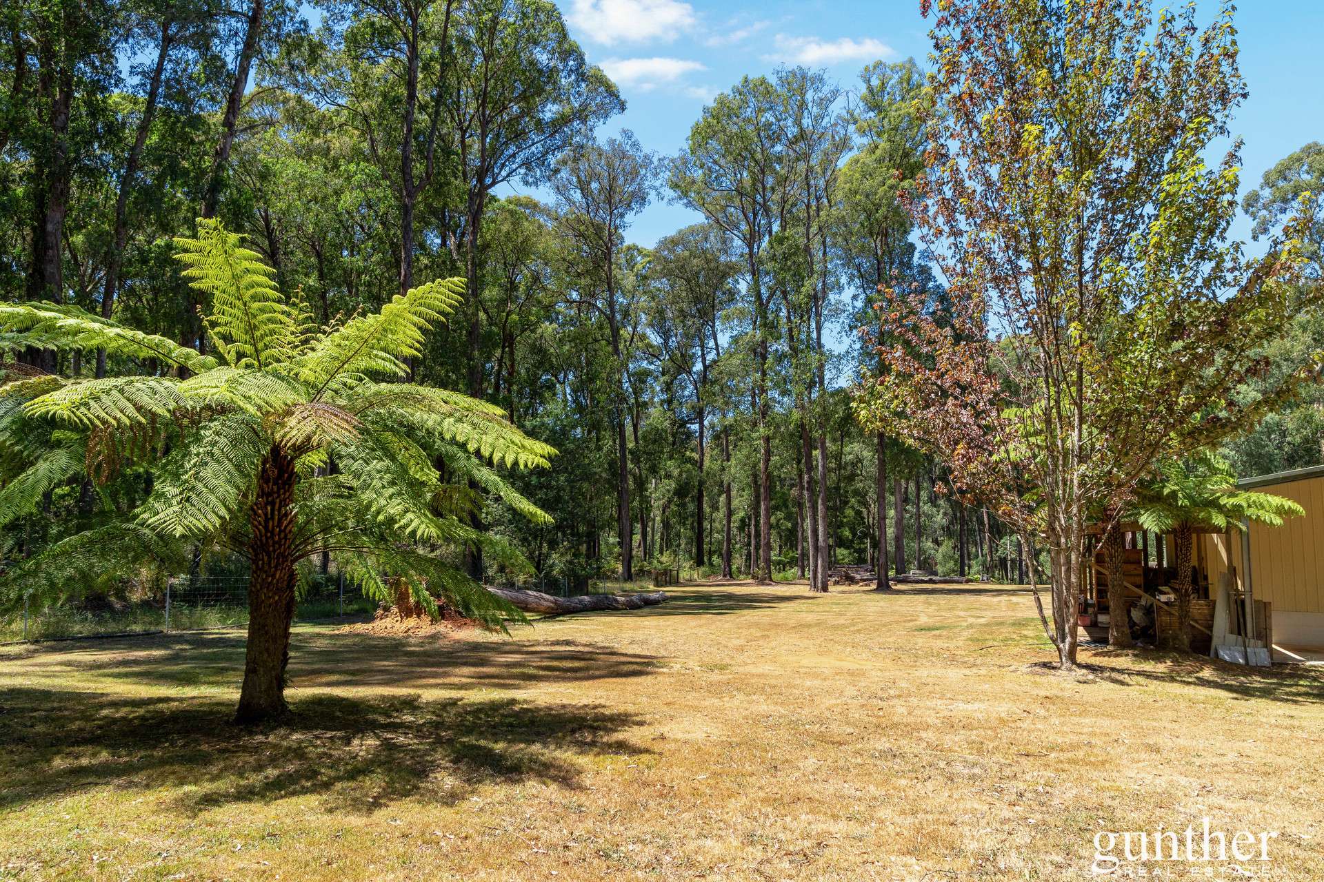 150 Manby Road, Narbethong For Sale by Farmbuy.com - image 17