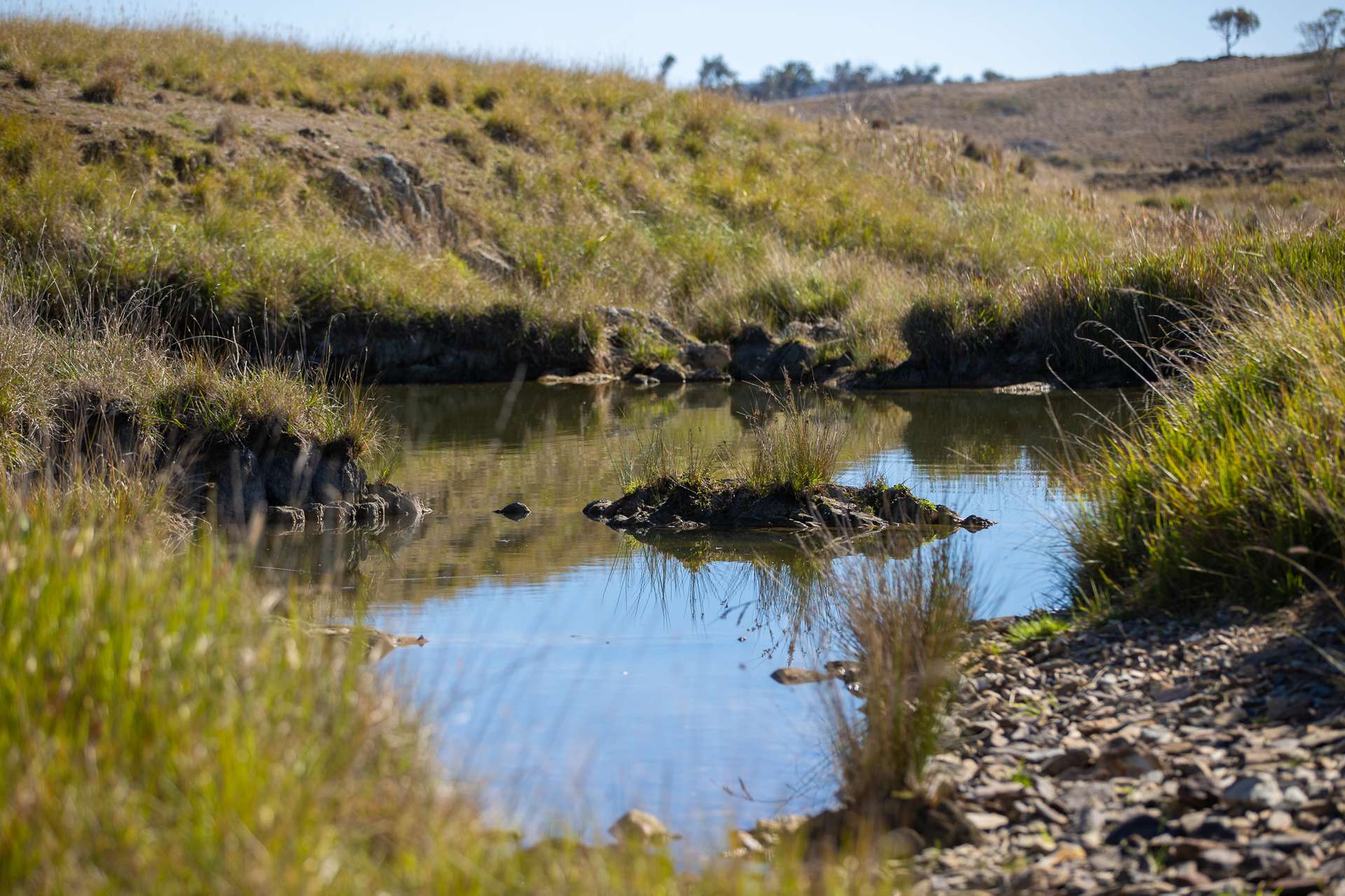 "Abermala Homestead" Enmore Road, Uralla For Sale by Farmbuy.com - image 18