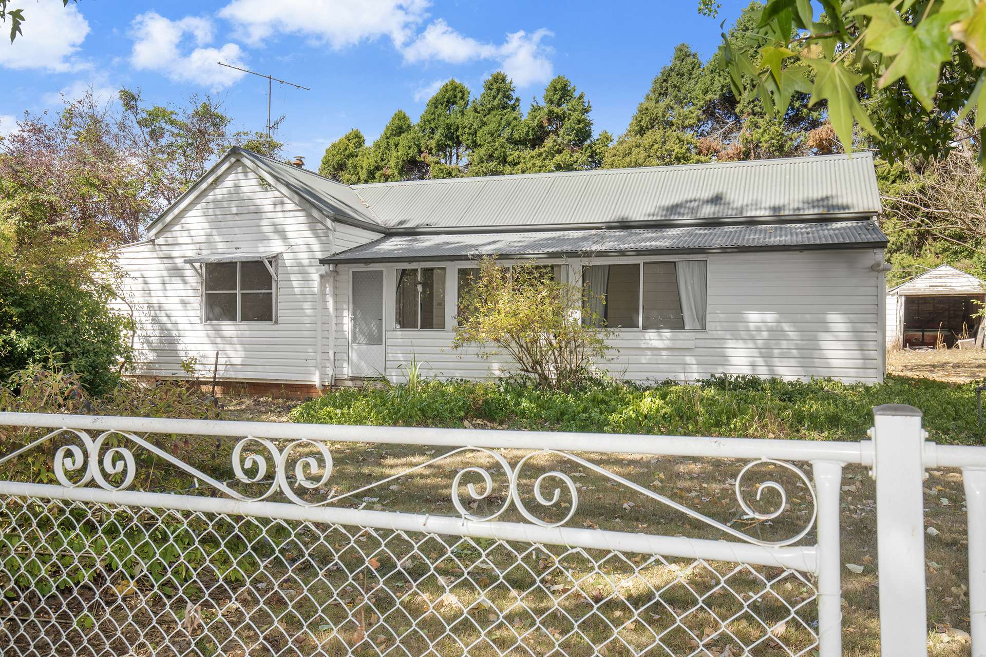 "Rose Valley" 379 Toms Gully Road, Black Mountain Auction by Farmbuy.com - image 12
