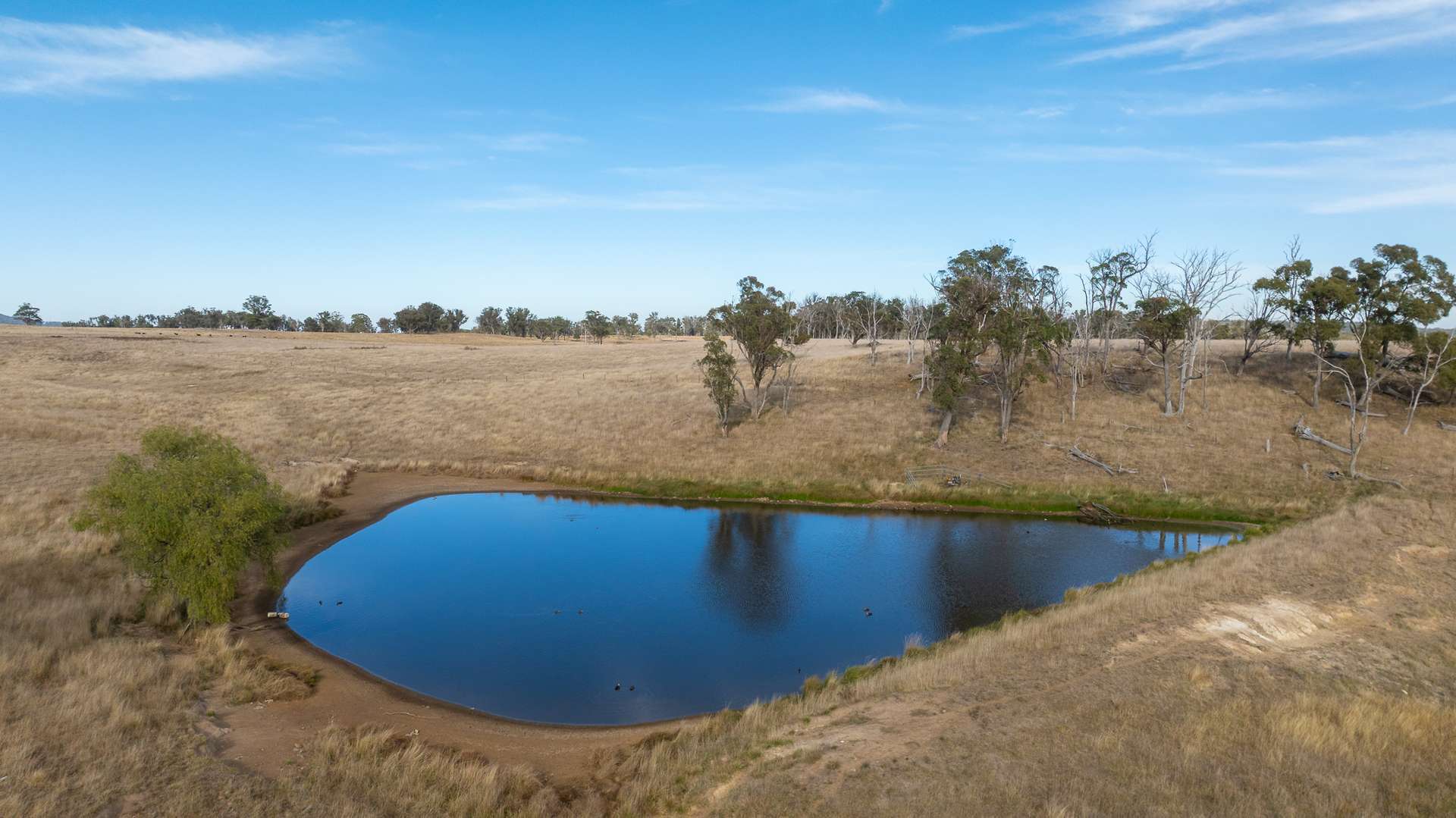 "Rose Valley" 379 Toms Gully Road, Black Mountain Auction by Farmbuy.com - image 15