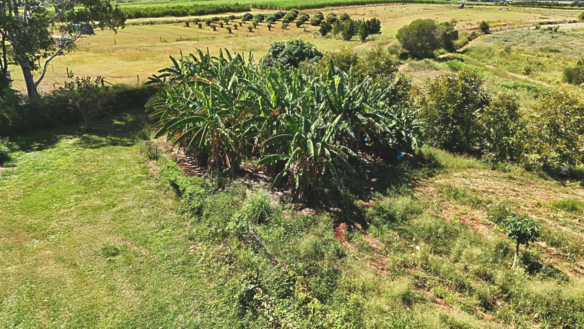 49 South Isis Road, South Isis For Sale by Farmbuy.com - image 8