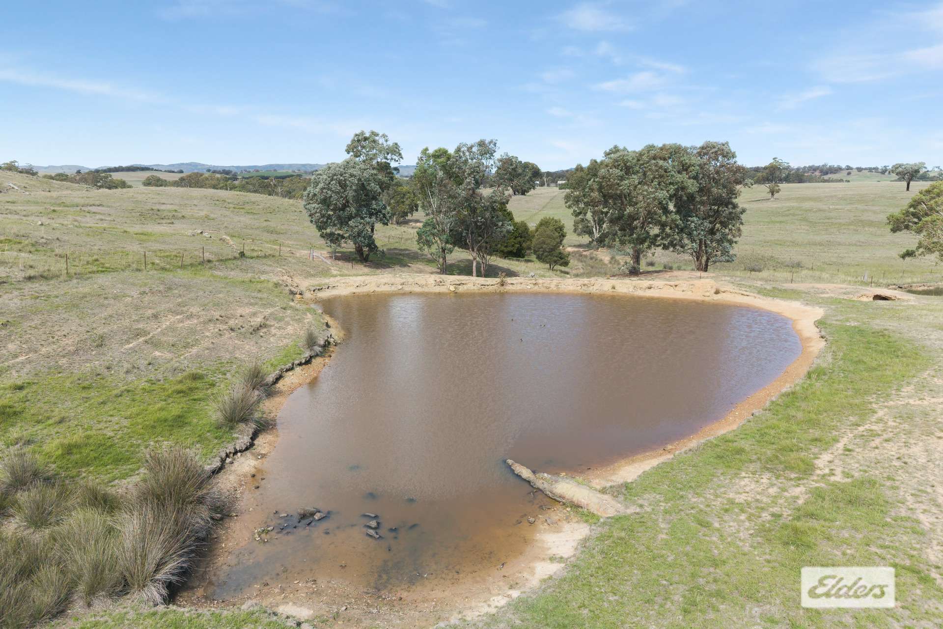 1105 Heathcote-Spring Plains Road, Mia Mia For Sale by Farmbuy.com - image 3