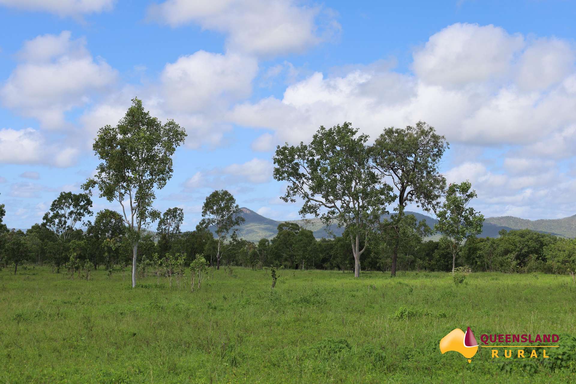 Reid River For Sale by Farmbuy.com - image 5