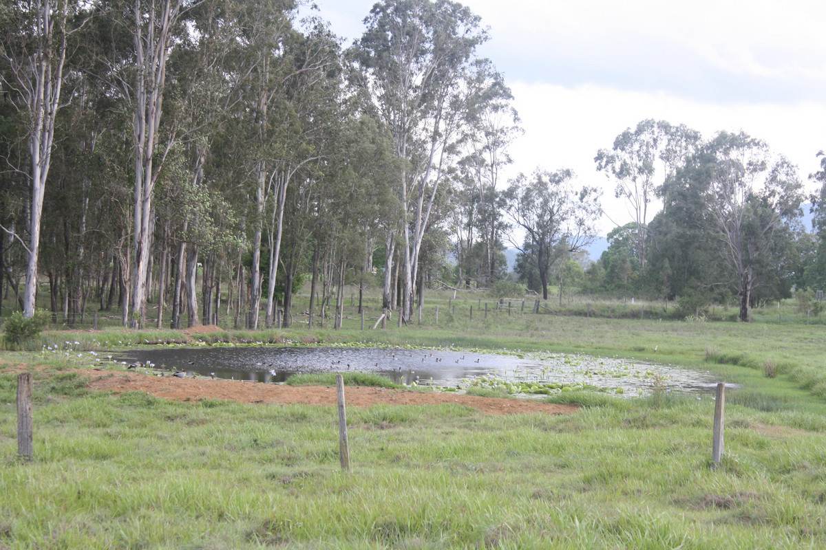 Lot 2, 49 Diggings Road, Glastonbury For Sale by Farmbuy.com - image 27