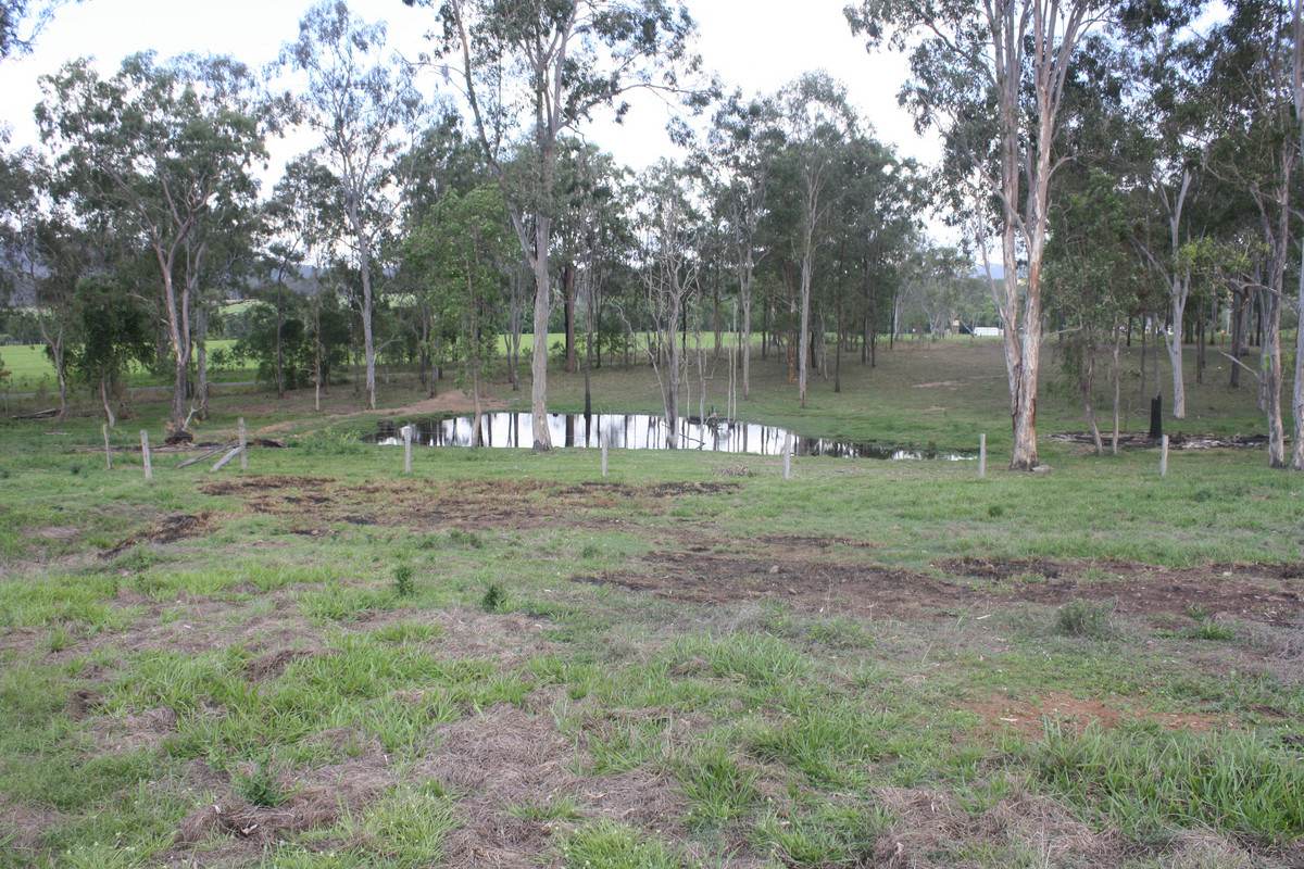 Lot 2, 49 Diggings Road, Glastonbury For Sale by Farmbuy.com - image 26