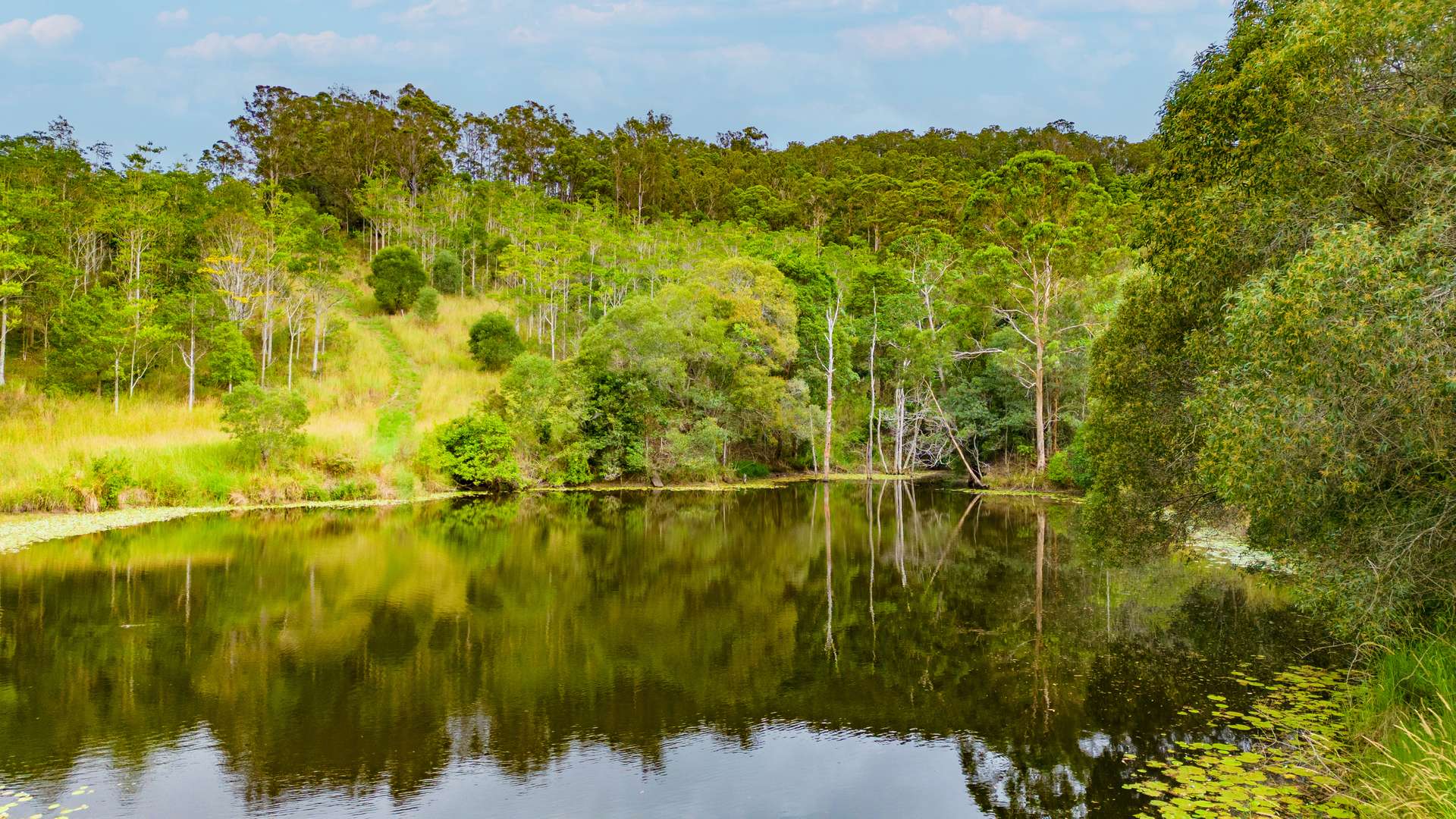 261 Chinamans Creek Road, Tuchekoi For Sale by Farmbuy.com - image 1