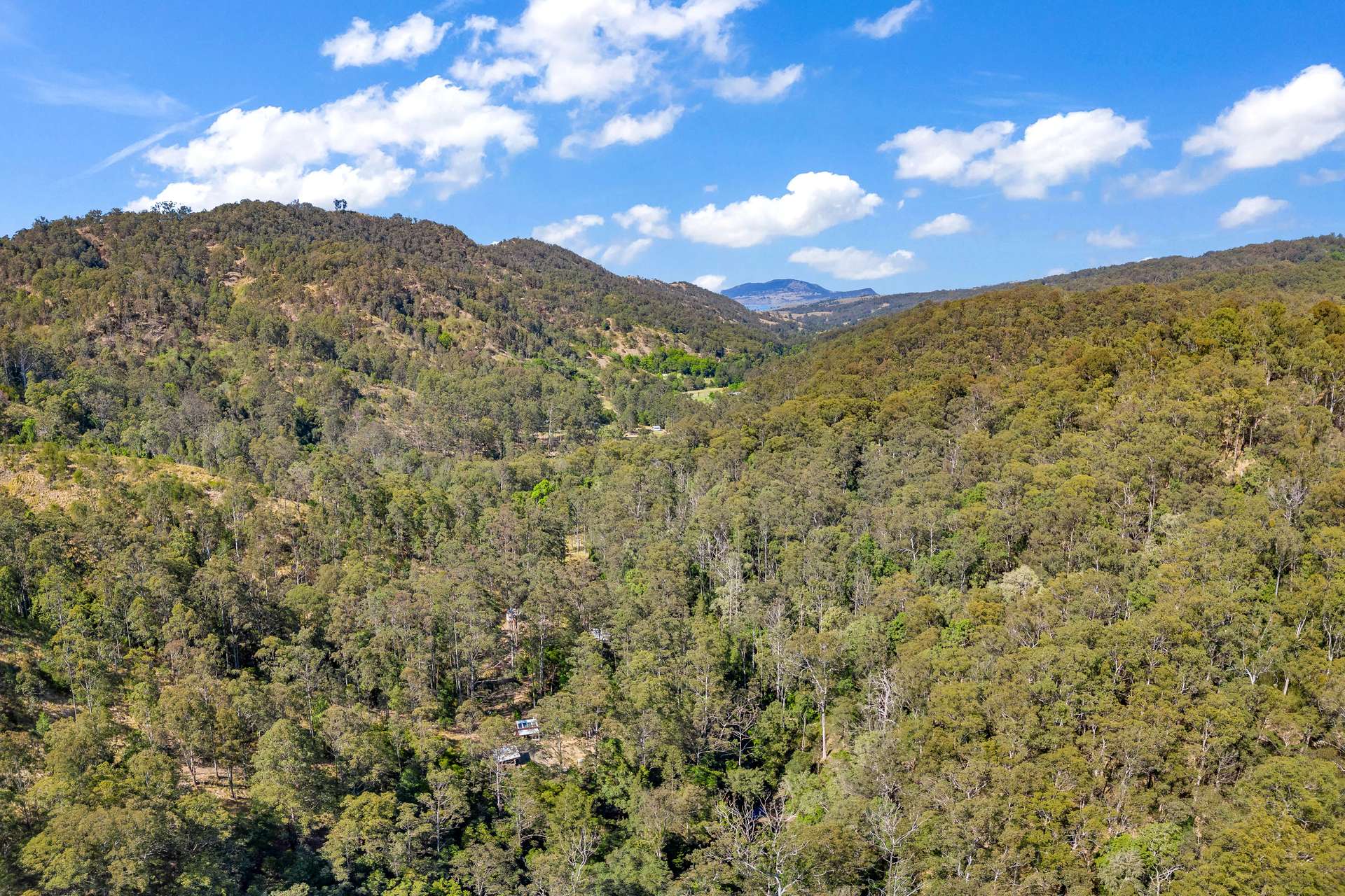 3180 Carrowbrook Road, Carrowbrook, Singleton For Sale by Farmbuy.com - image 17