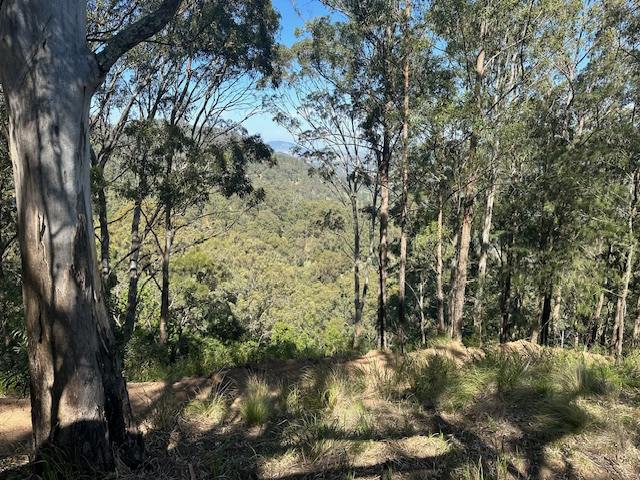 3180 Carrowbrook Road, Carrowbrook, Singleton For Sale by Farmbuy.com - image 20