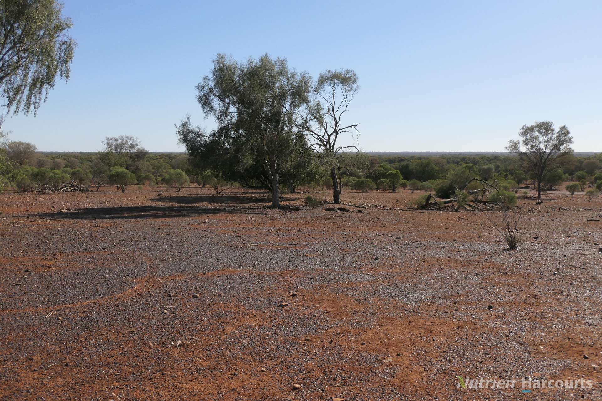 27 Singleton Drive, Cobar For Sale by Farmbuy.com - image 18