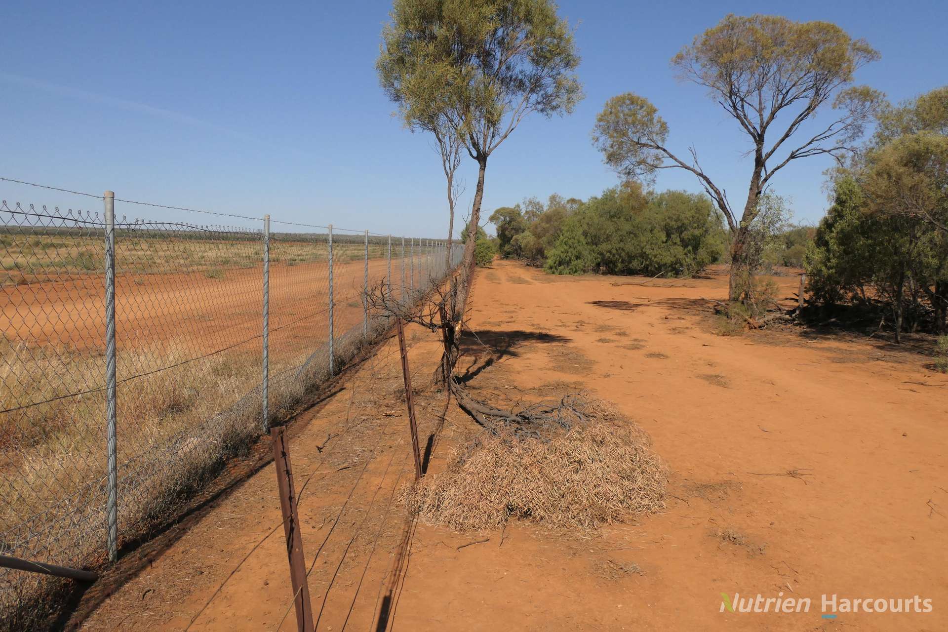27 Singleton Drive, Cobar For Sale by Farmbuy.com - image 31