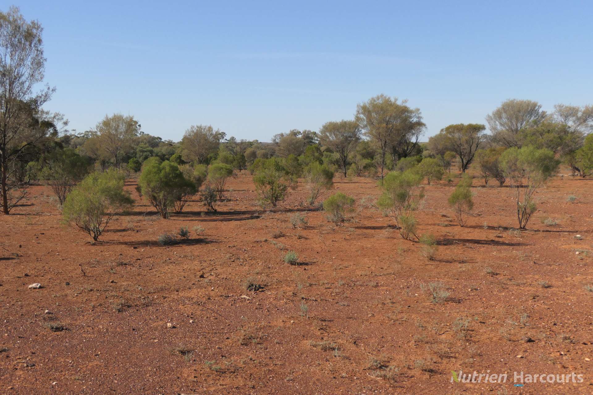 27 Singleton Drive, Cobar For Sale by Farmbuy.com - image 8