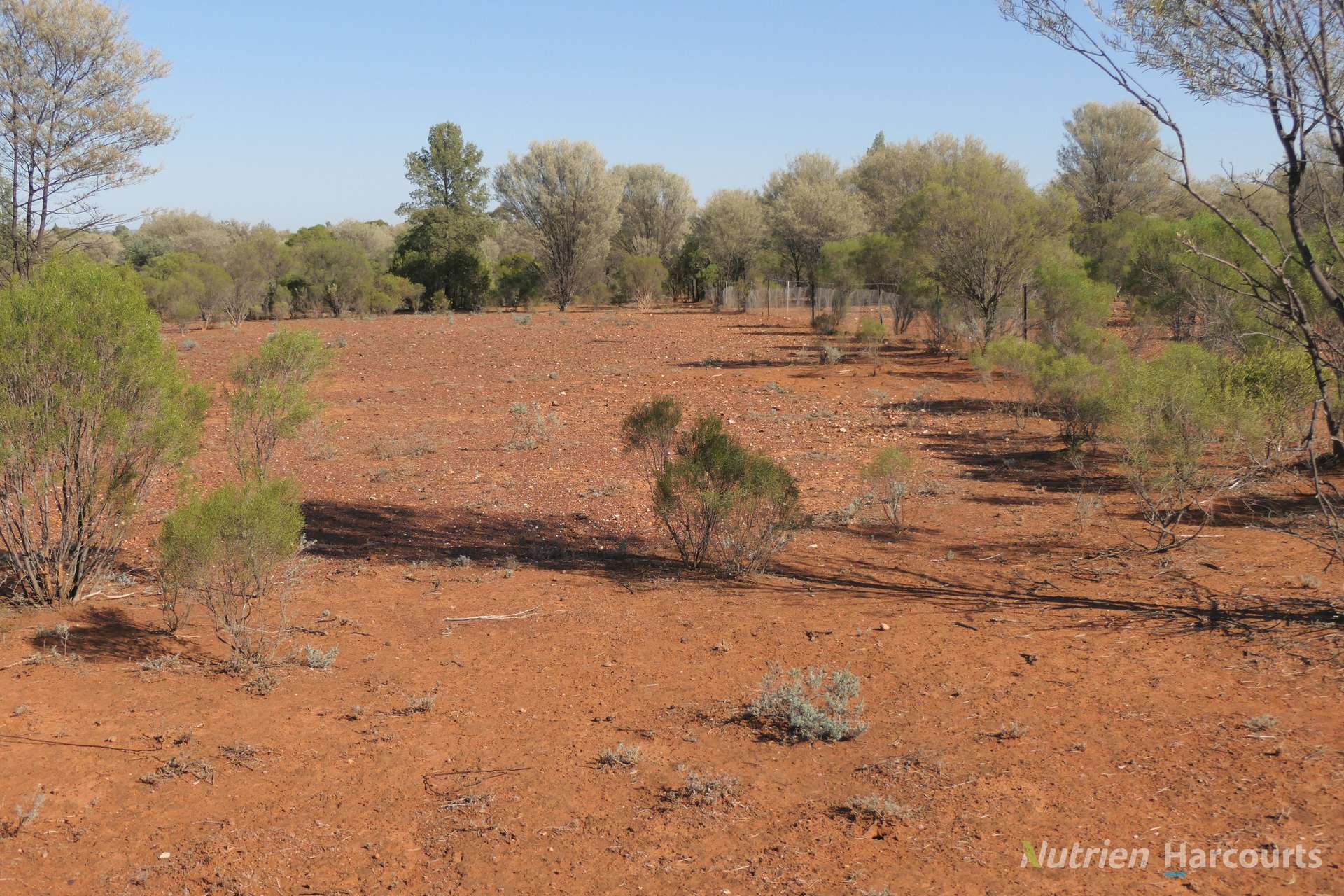 27 Singleton Drive, Cobar For Sale by Farmbuy.com - image 7
