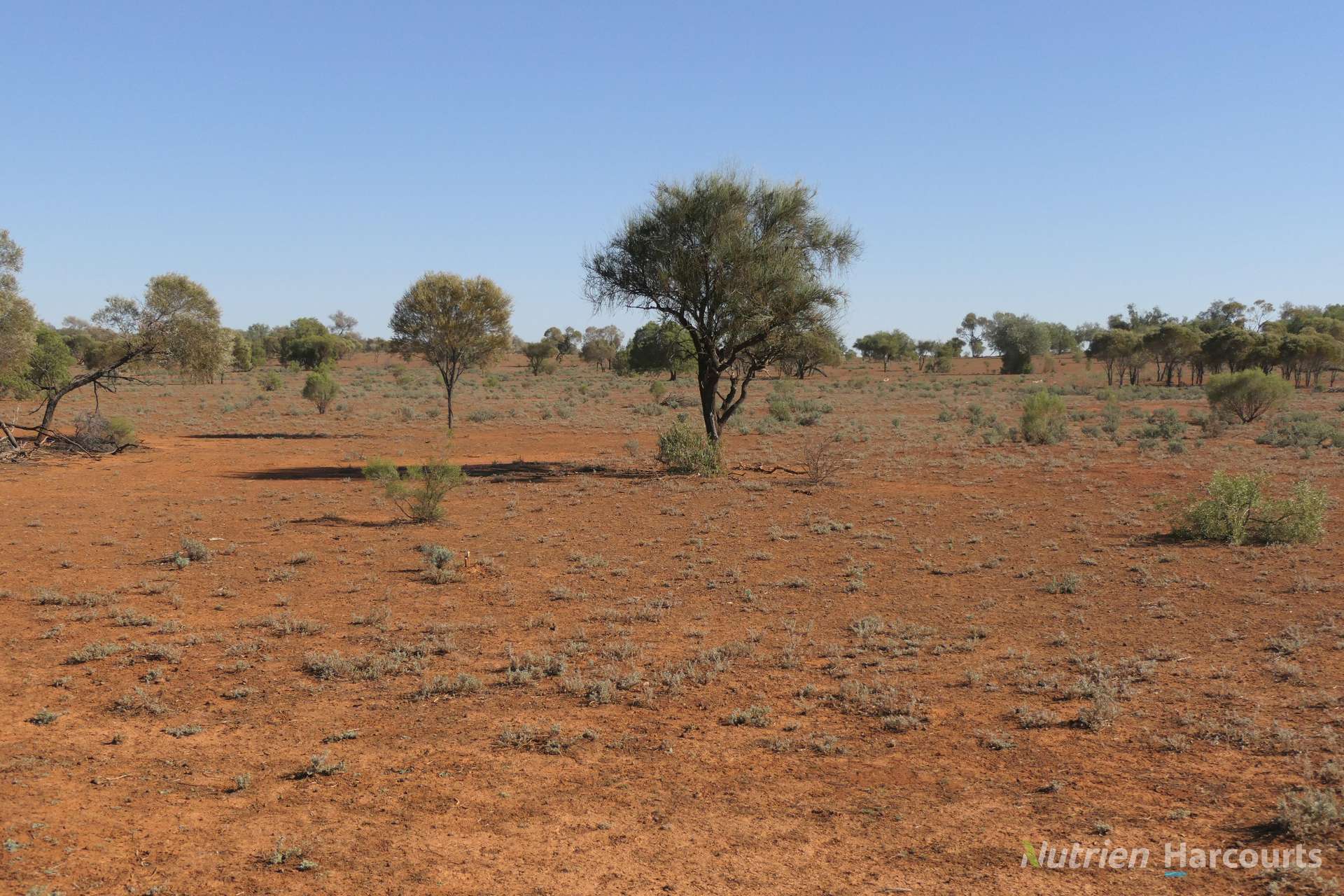 27 Singleton Drive, Cobar For Sale by Farmbuy.com - image 14