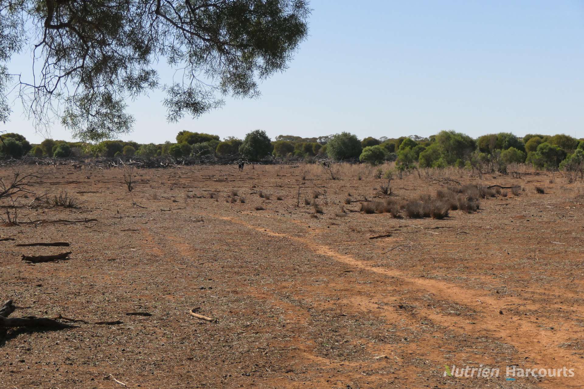 27 Singleton Drive, Cobar For Sale by Farmbuy.com - image 26