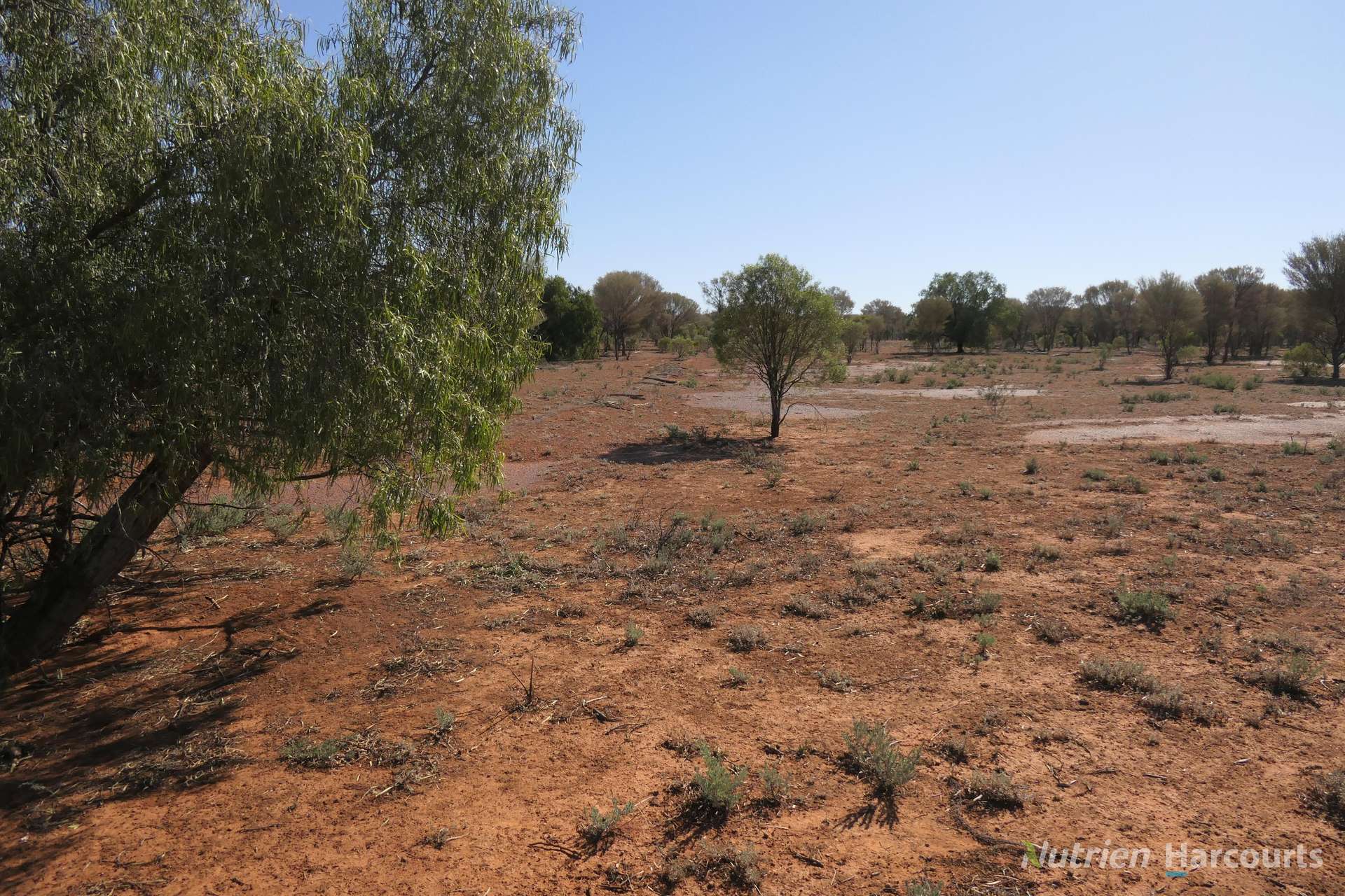 27 Singleton Drive, Cobar For Sale by Farmbuy.com - image 28