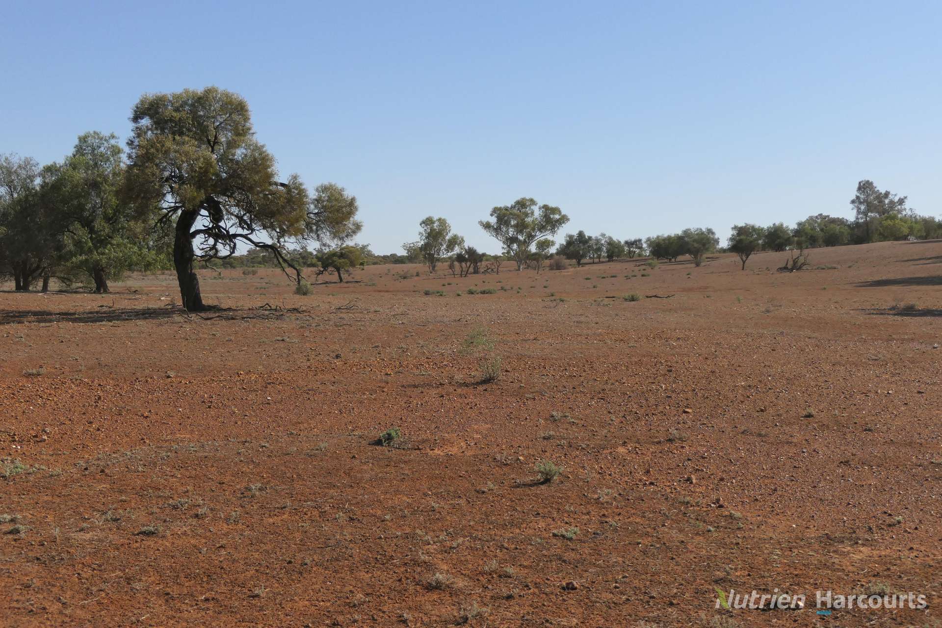 27 Singleton Drive, Cobar For Sale by Farmbuy.com - image 15