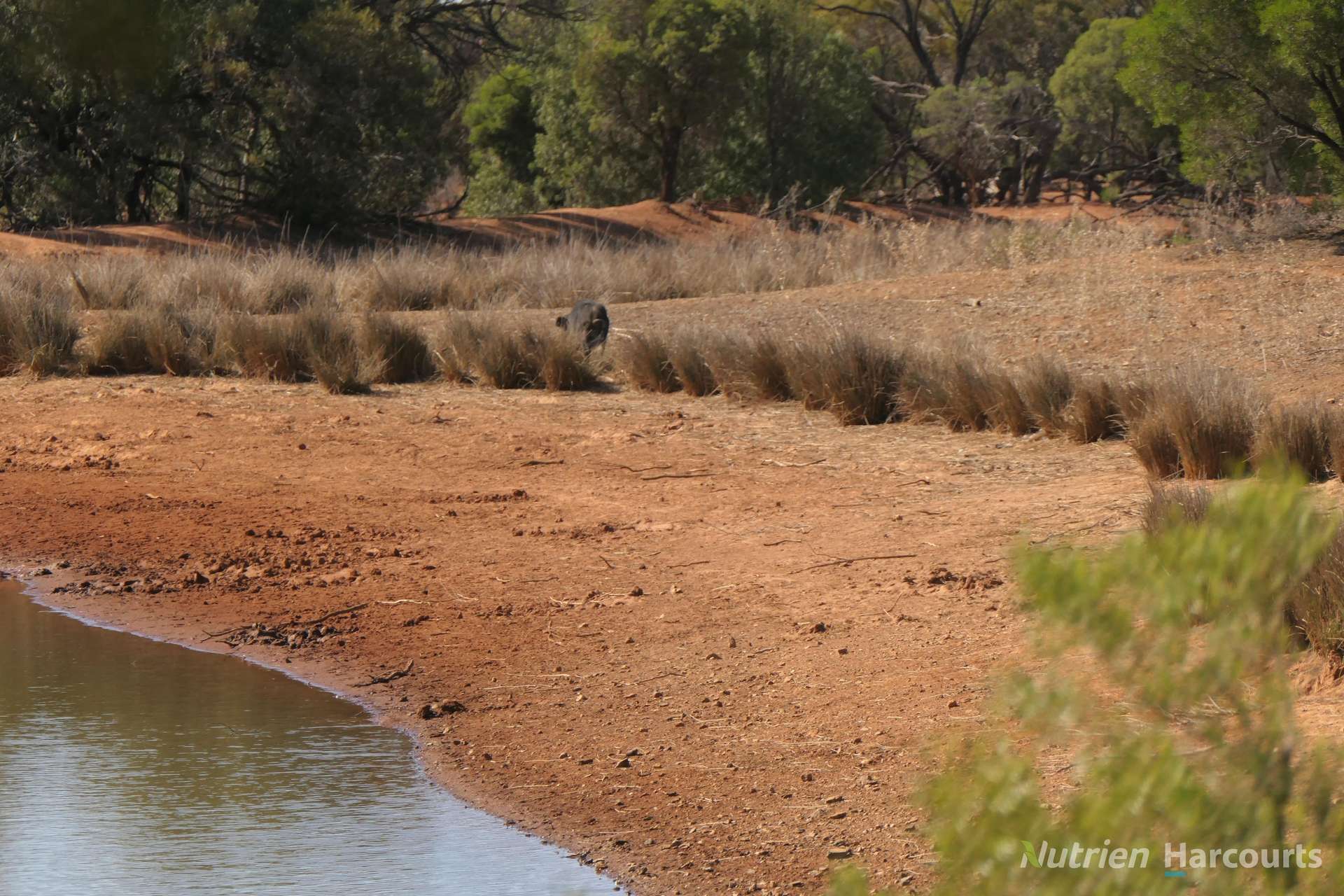 27 Singleton Drive, Cobar For Sale by Farmbuy.com - image 20