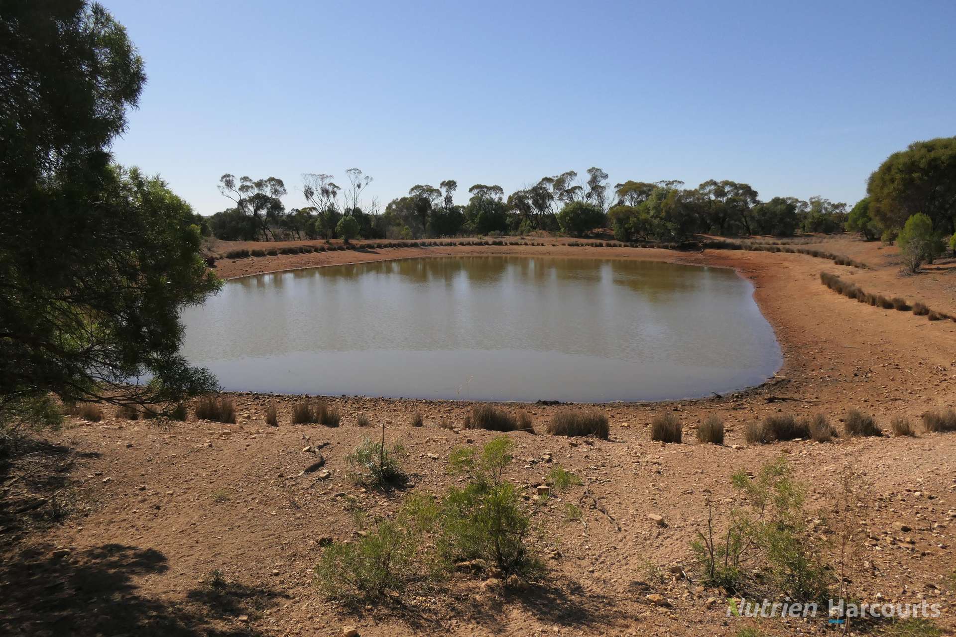 27 Singleton Drive, Cobar Auction by Farmbuy.com - image 21