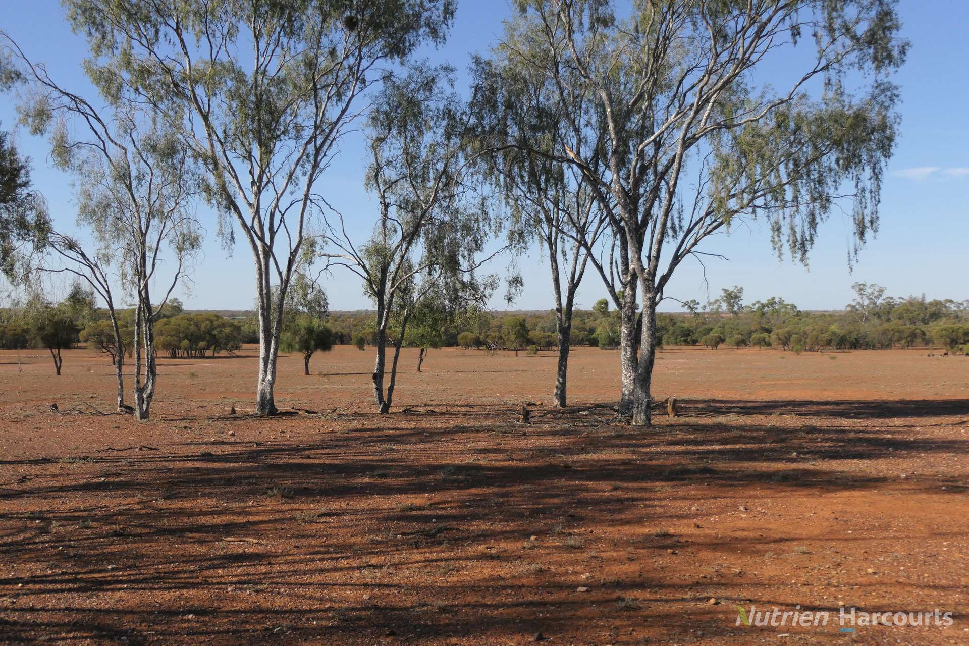 27 Singleton Drive, Cobar For Sale by Farmbuy.com - image 10