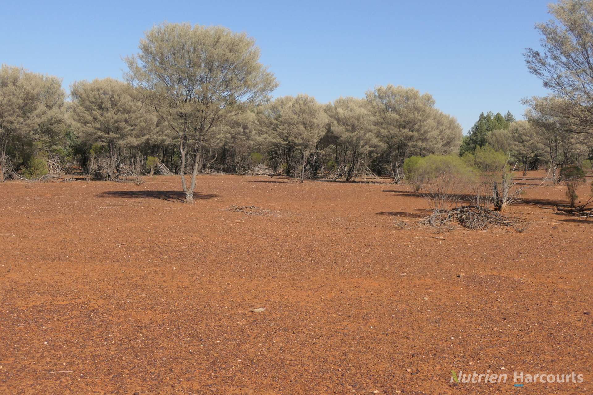 27 Singleton Drive, Cobar For Sale by Farmbuy.com - image 19