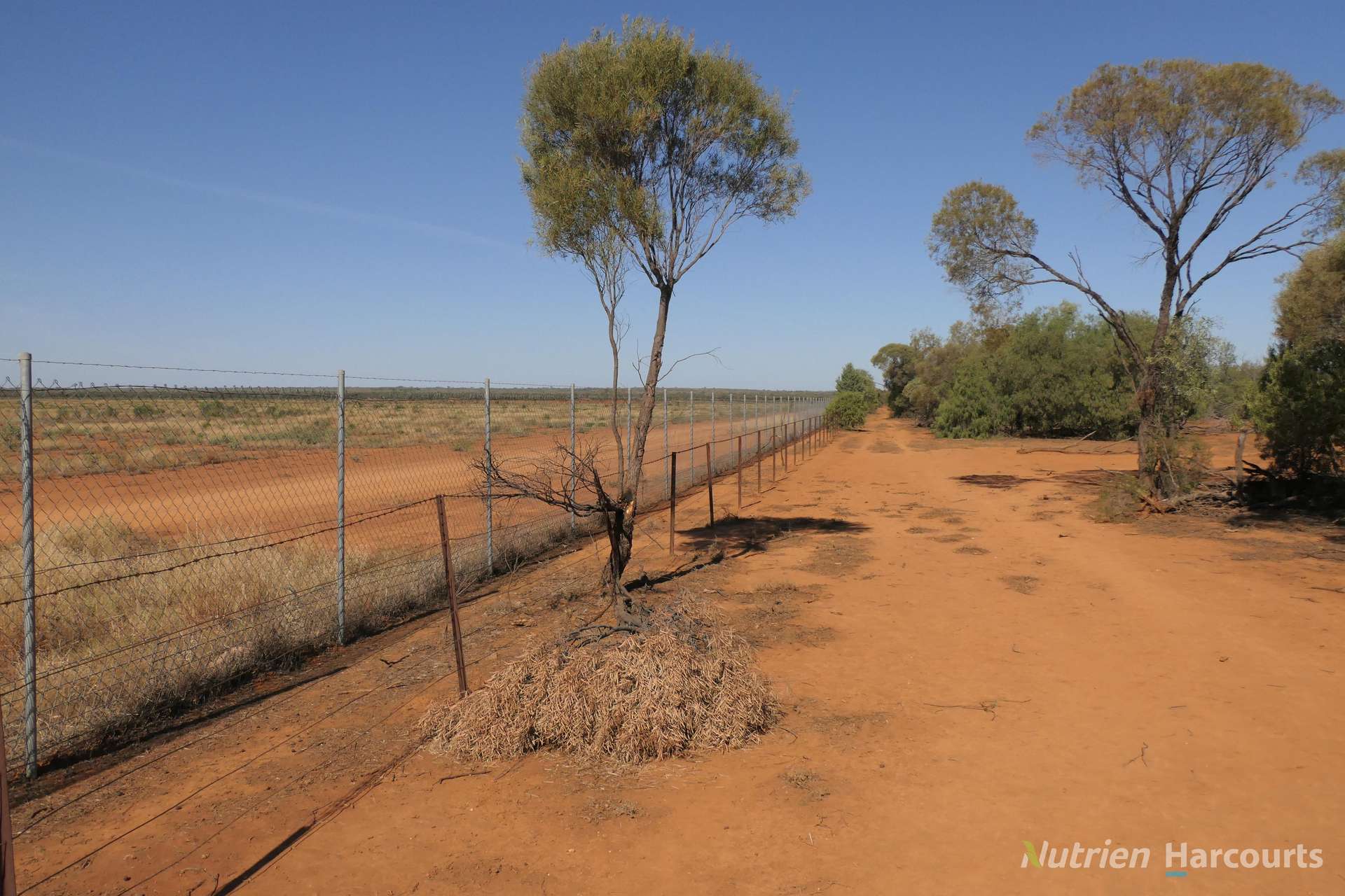 27 Singleton Drive, Cobar For Sale by Farmbuy.com - image 29