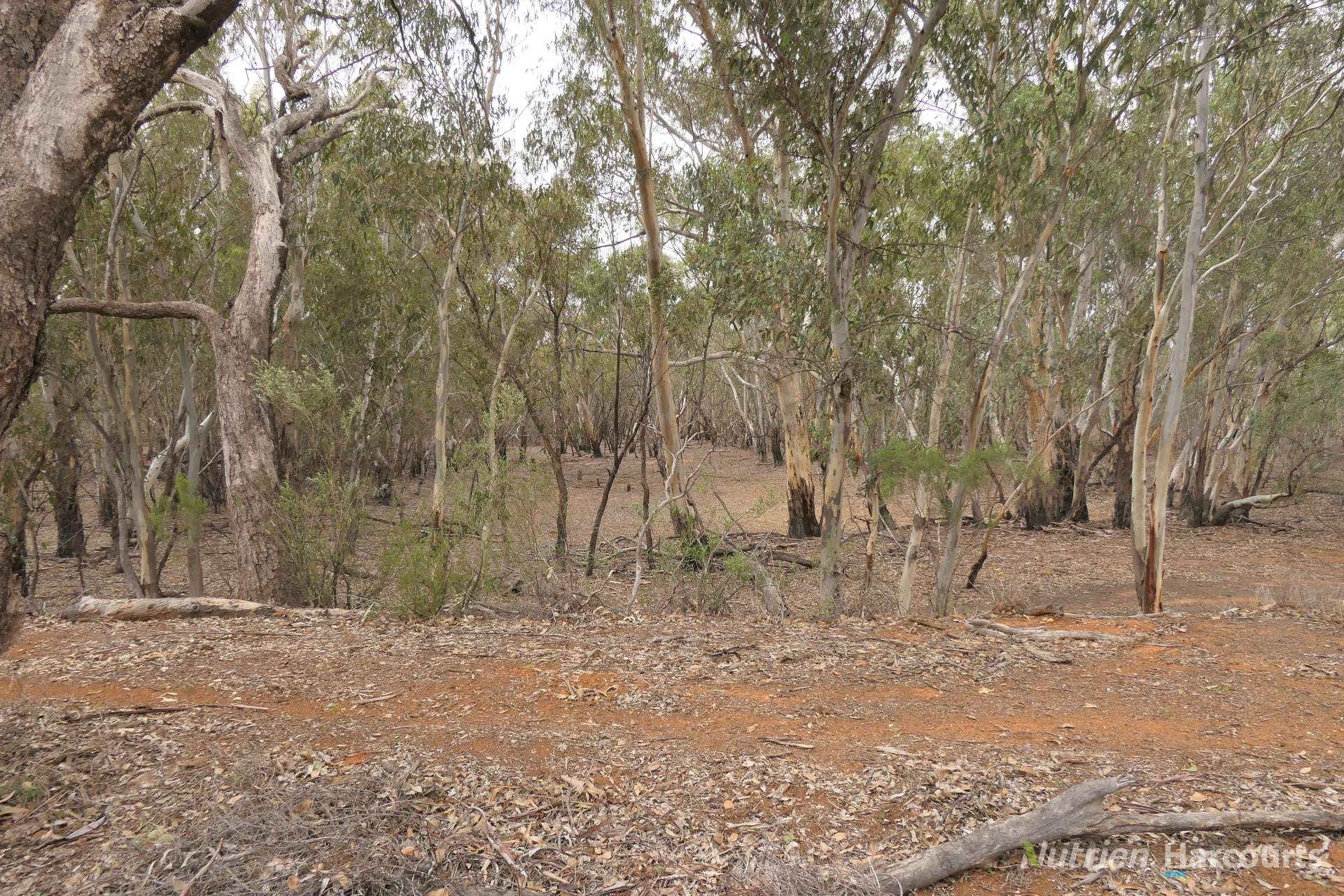 27 Singleton Drive, Cobar Auction by Farmbuy.com - image 4