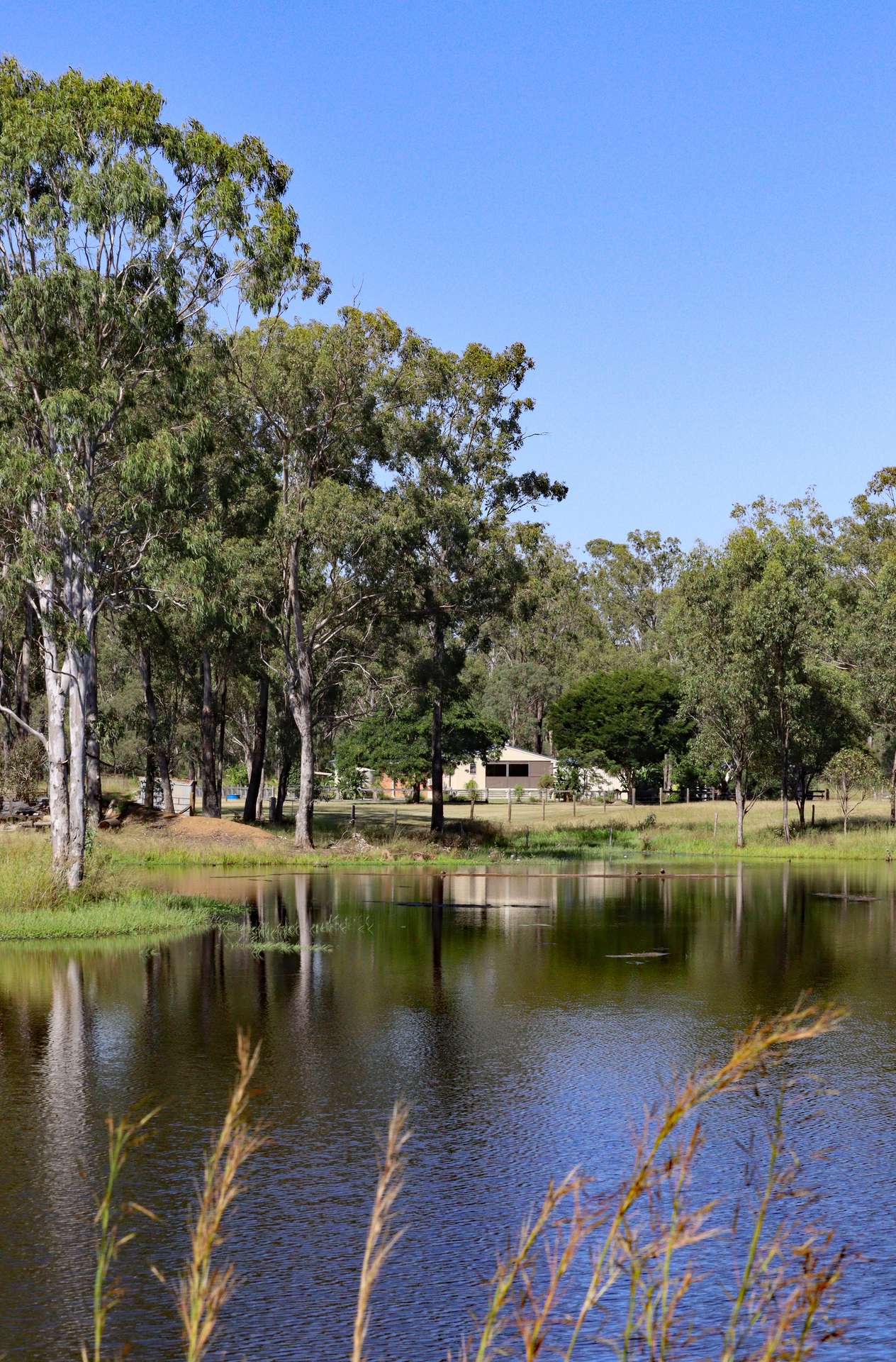 2956 Dawson Highway, Calliope For Sale by Farmbuy.com - image 16