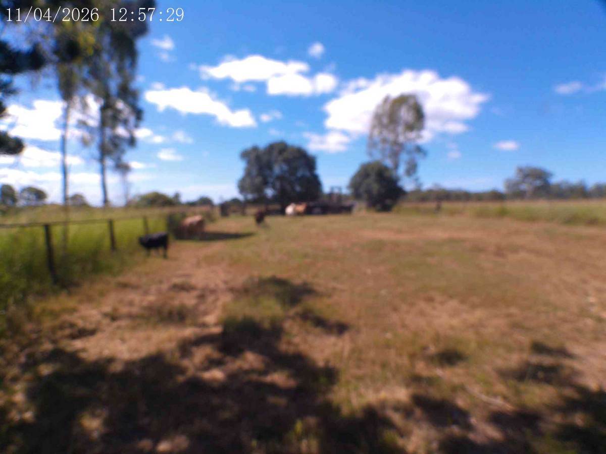 Lot 79, 89 Mollenhagans Road, Rosedale For Sale by Farmbuy.com - image 15