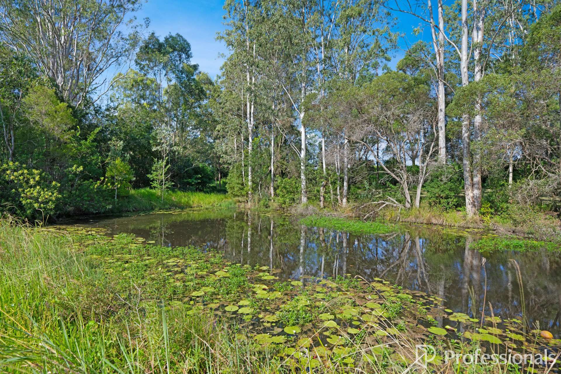 34 Lillis Road, Victory Heights For Sale by Farmbuy.com - image 28