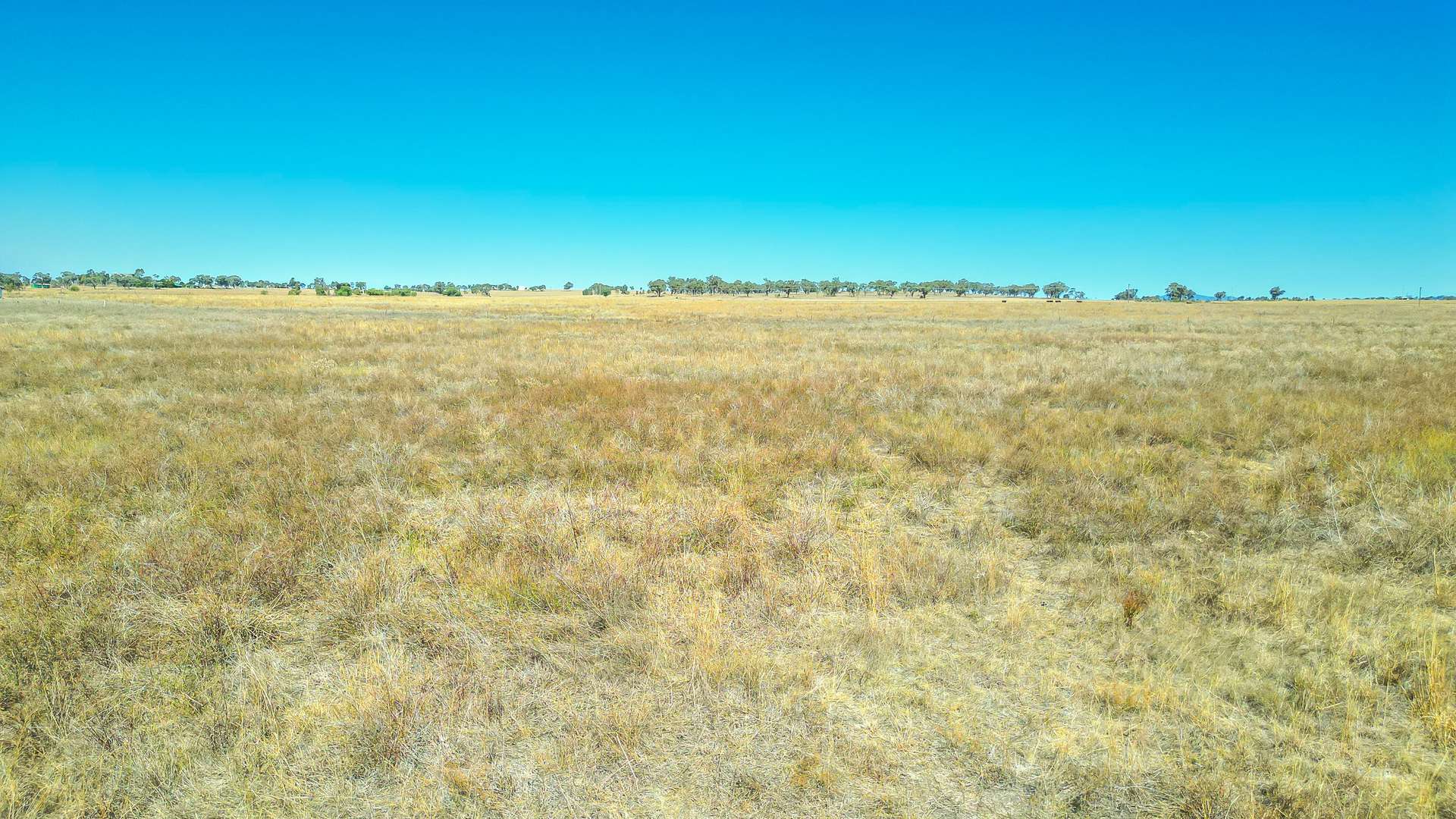 123 New Winton Road, Tamworth Auction by Farmbuy.com - image 16