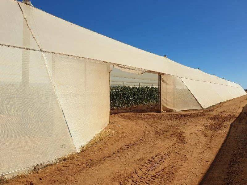 137/138 North River Road, North Plantations For Sale by Farmbuy.com - image 10