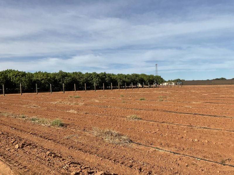 137/138 North River Road, North Plantations For Sale by Farmbuy.com - image 18