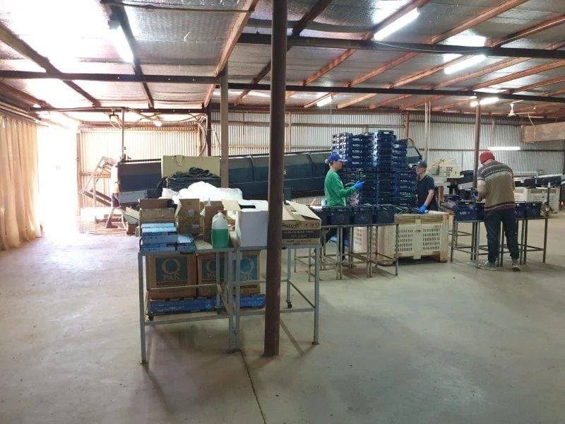 137/138 North River Road, North Plantations For Sale by Farmbuy.com - image 21