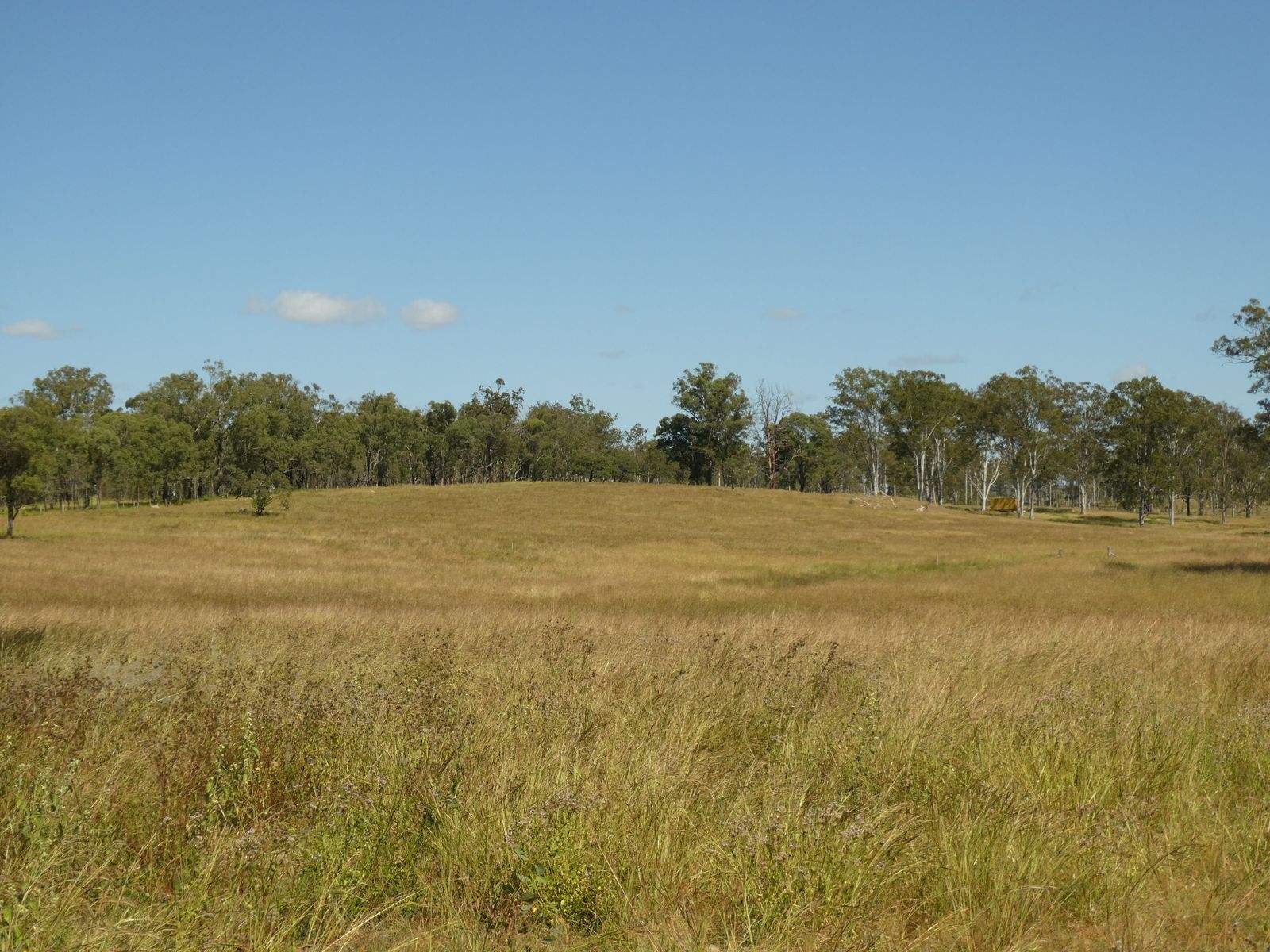 Lot 31 Brooweena Woolooga Road, Teebar For Sale by Farmbuy.com - image 14