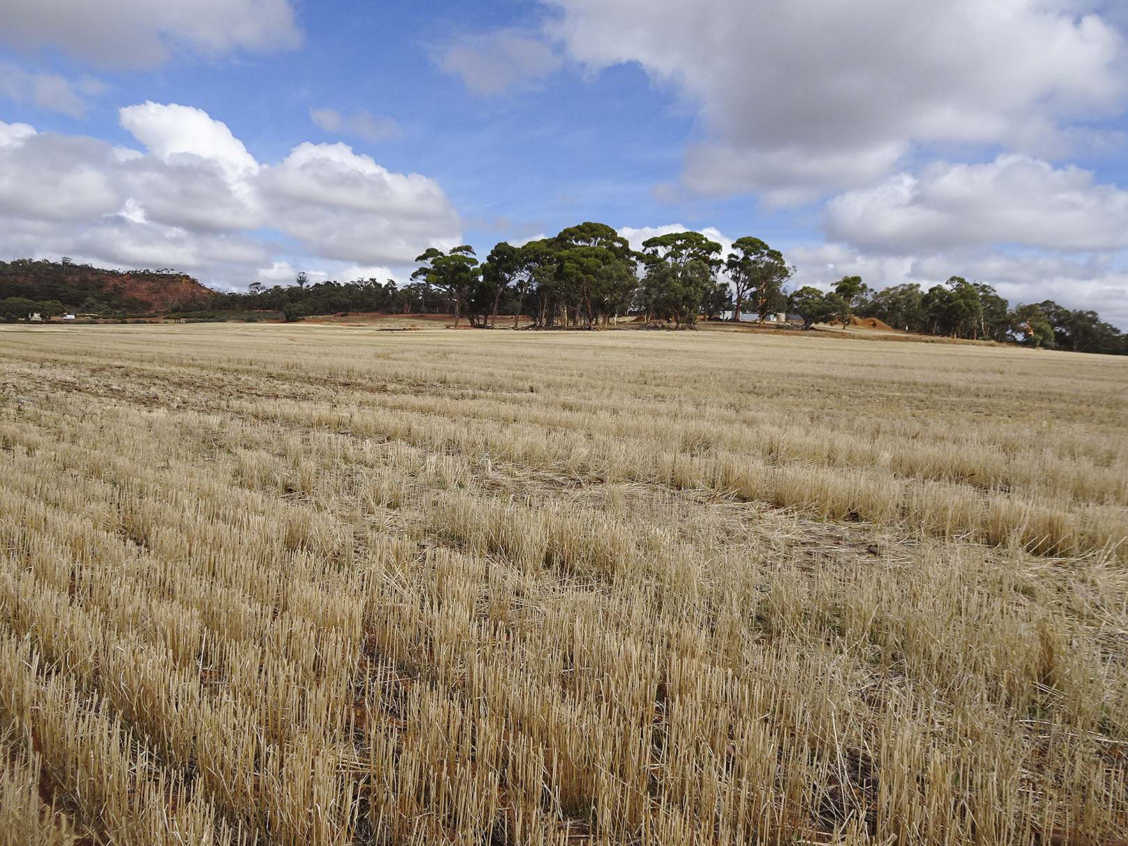 10840 Brookton Highway, Brookton For Sale by Farmbuy.com - image 27