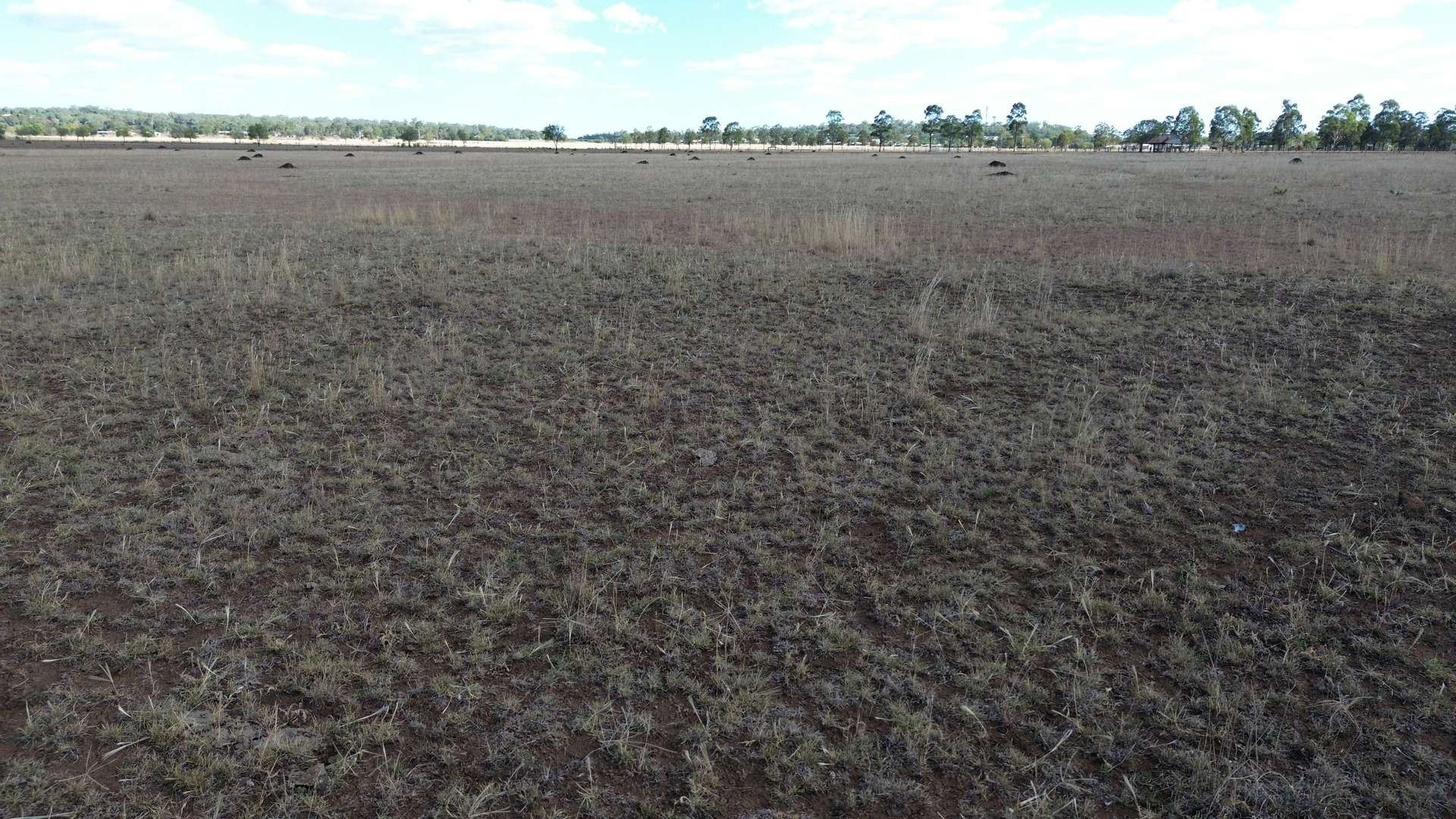 Lot 3 T Moore Road, Oakey For Sale by Farmbuy.com - image 11