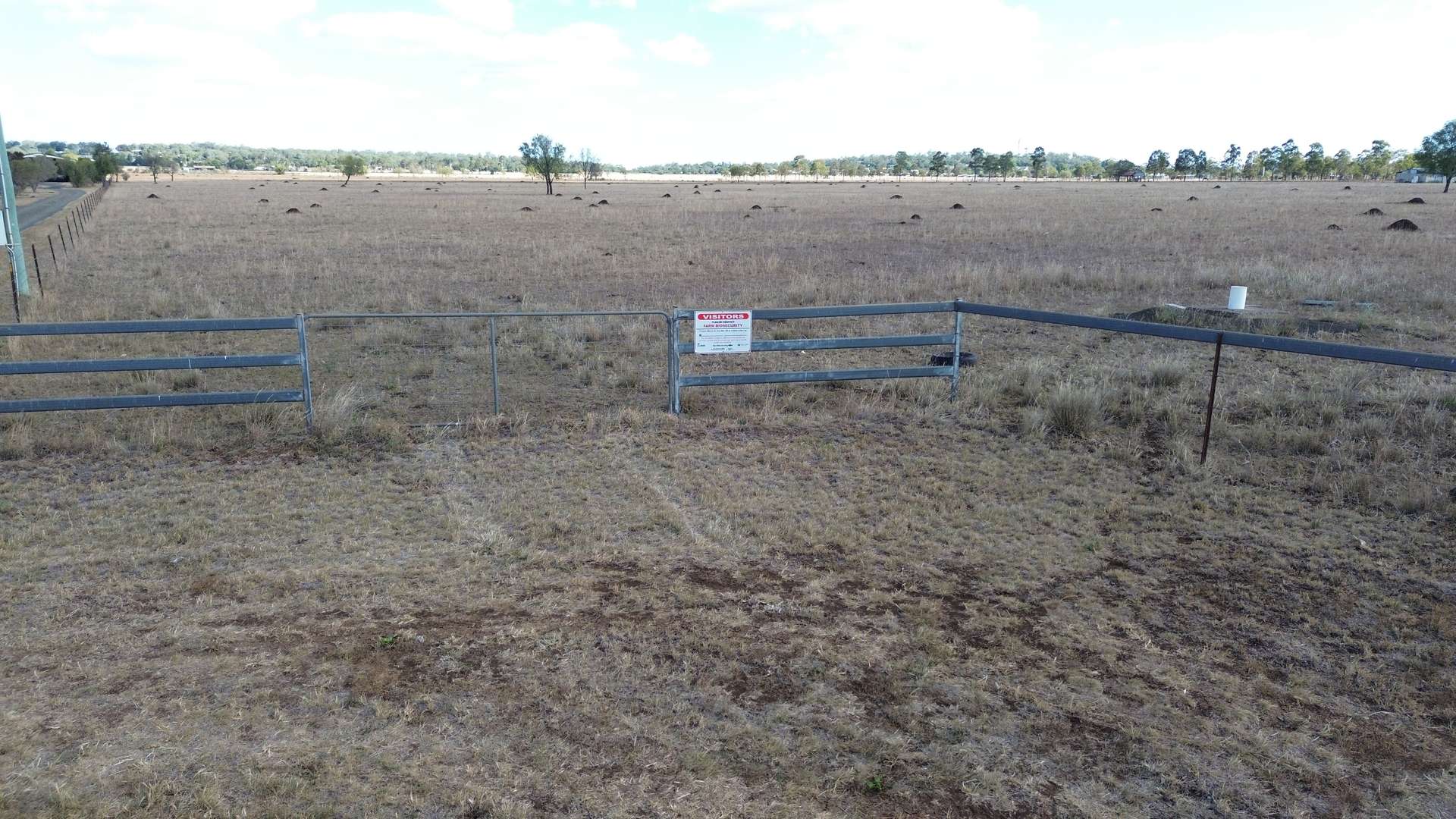 Lot 3 T Moore Road, Oakey For Sale by Farmbuy.com - image 9
