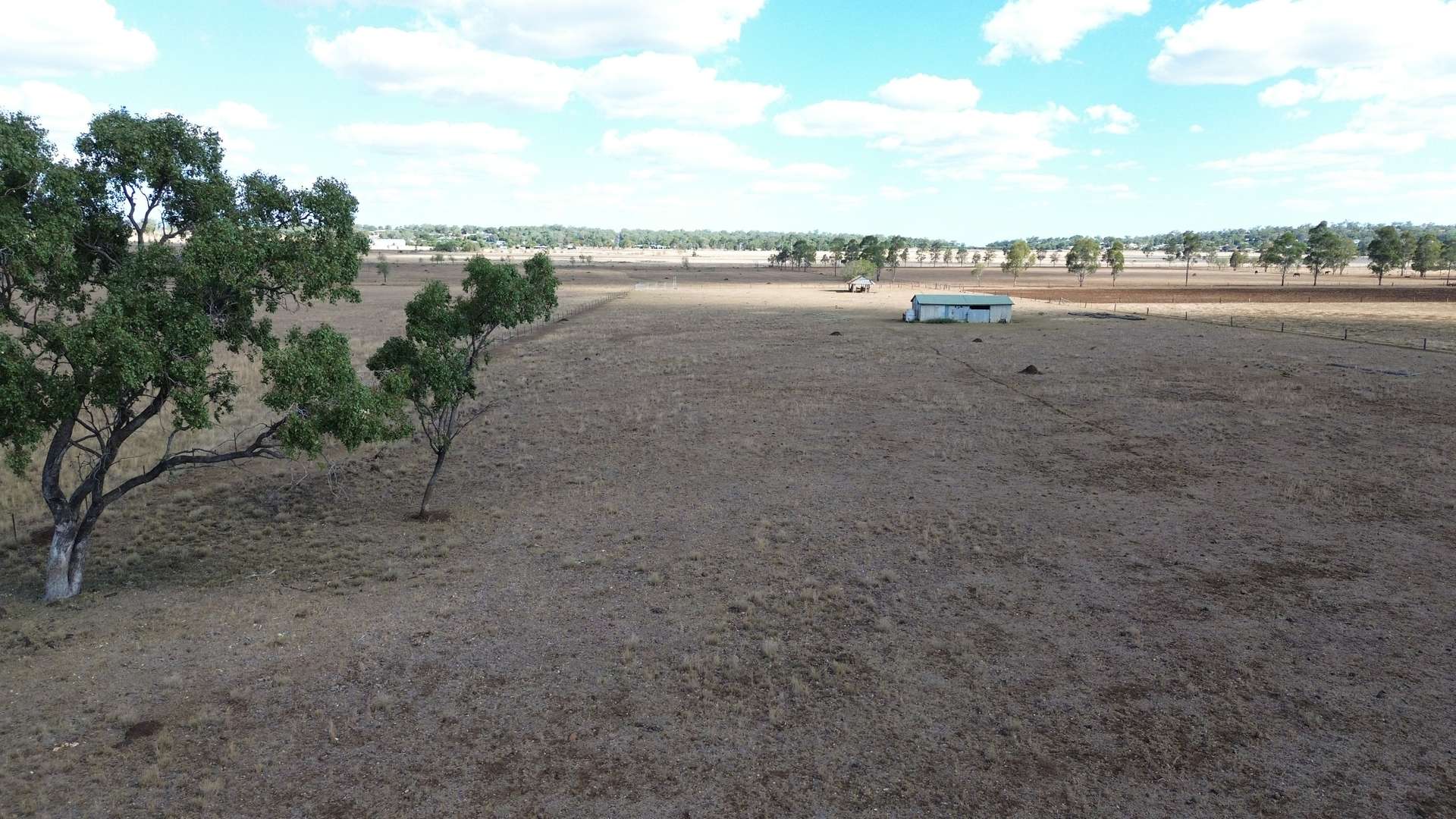 Lot 3 T Moore Road, Oakey For Sale by Farmbuy.com - image 12
