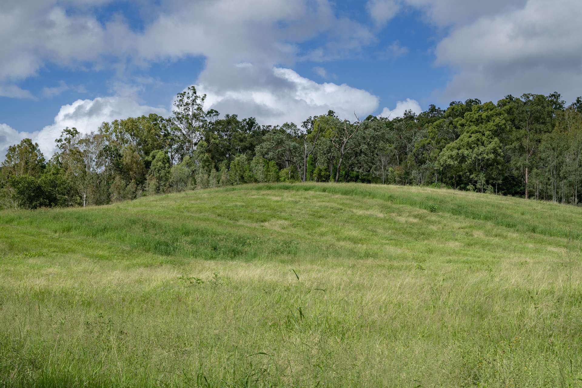 287A Marys Creek Road, Marys Creek For Sale by Farmbuy.com - image 3