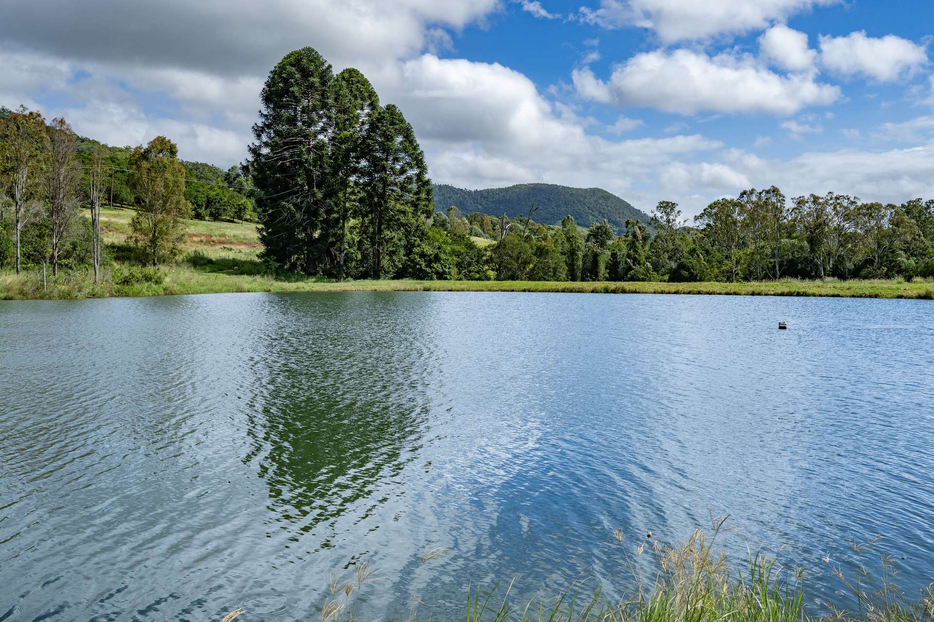 287A Marys Creek Road, Marys Creek For Sale by Farmbuy.com - image 25