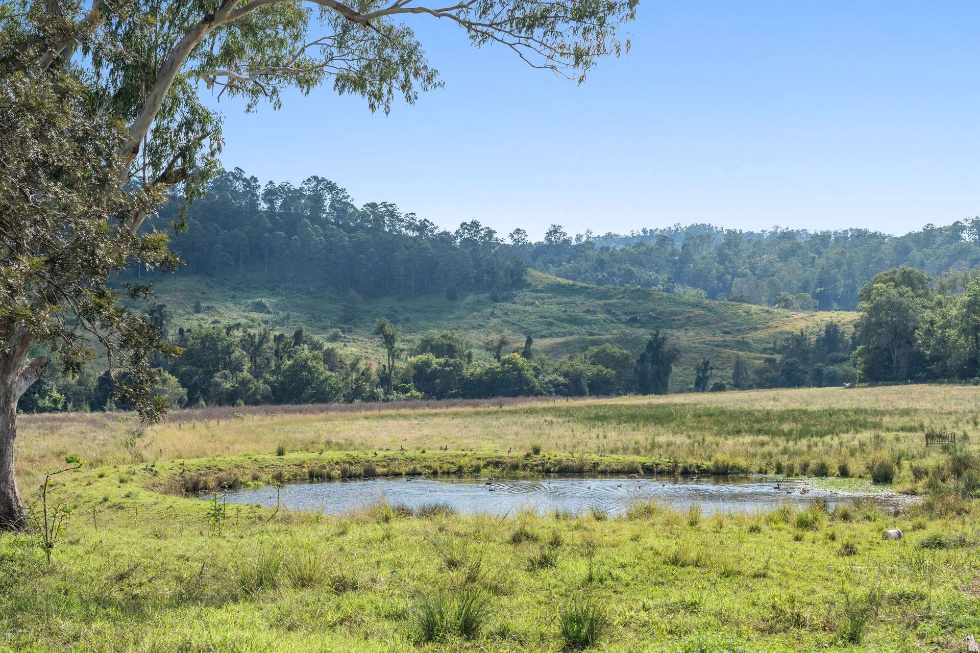 1050 Afterlee Road, Eden Creek For Sale by Farmbuy.com - image 28