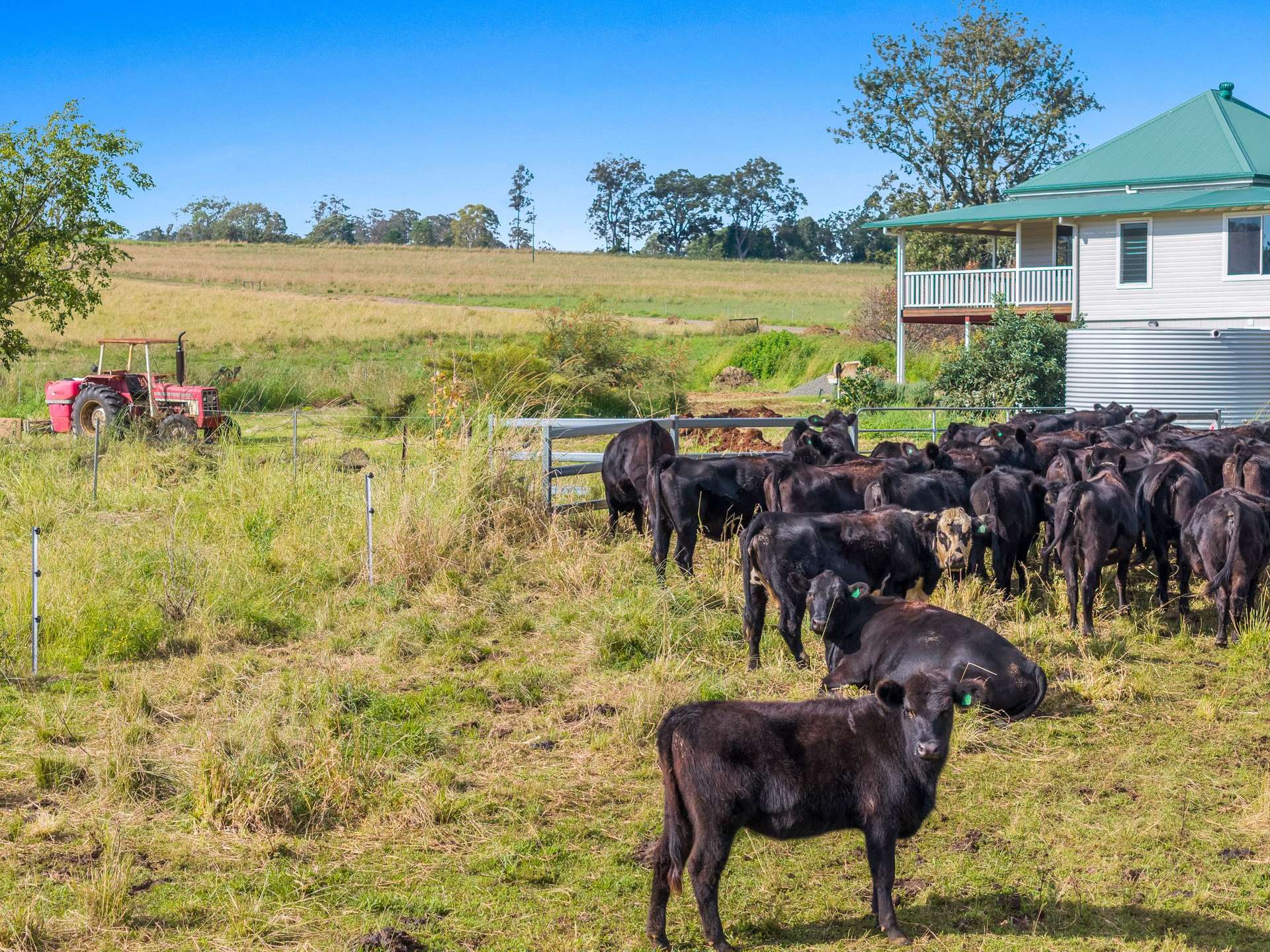 1050 Afterlee Road, Eden Creek For Sale by Farmbuy.com - image 27