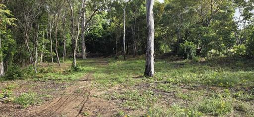Farm For Sale - QLD - Forrest Beach - 4850 - TRANQUIL RETREAT AT FORREST BEACH! 