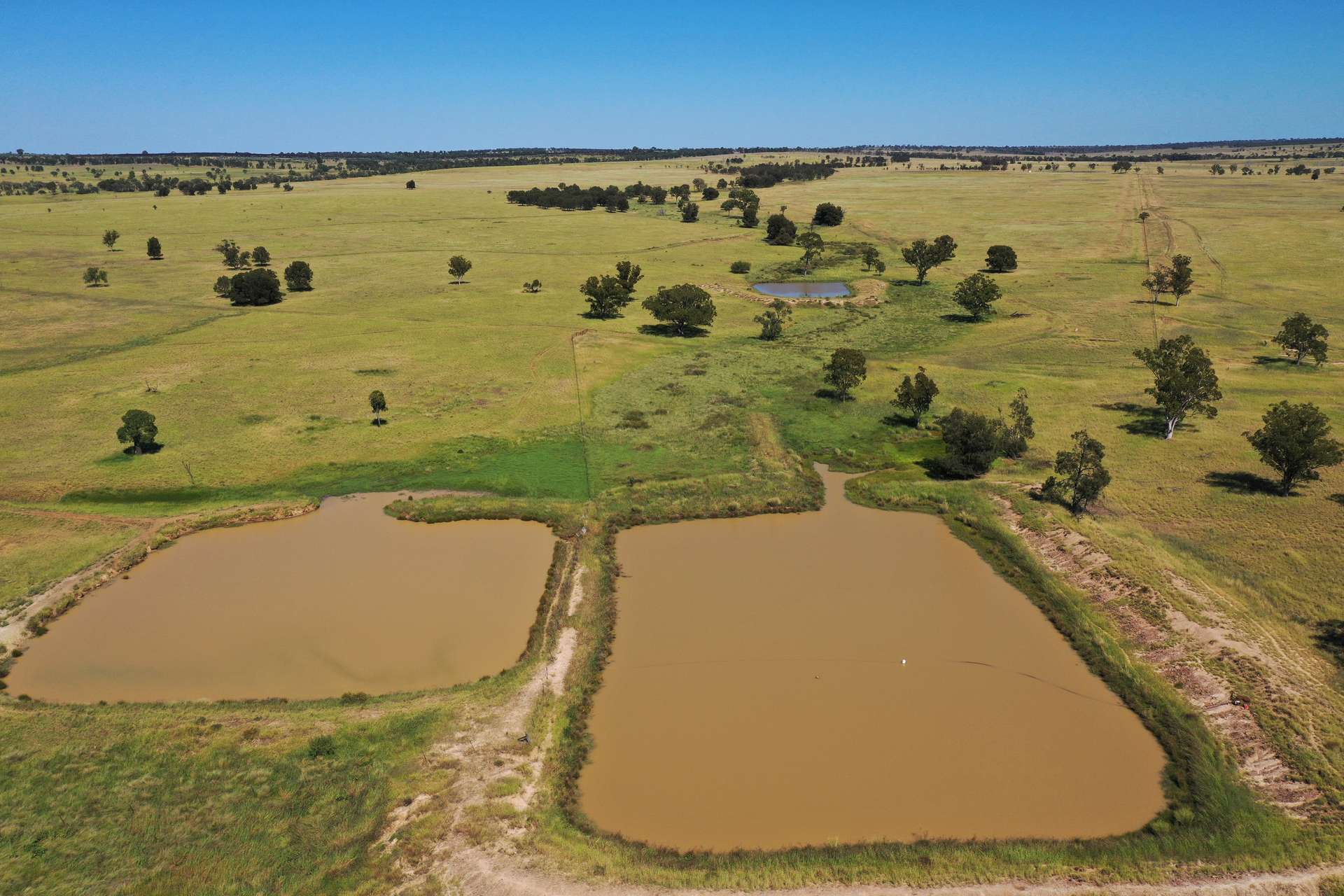 236 Tiger Scrub Road, Roma Auction by Farmbuy.com - image 18