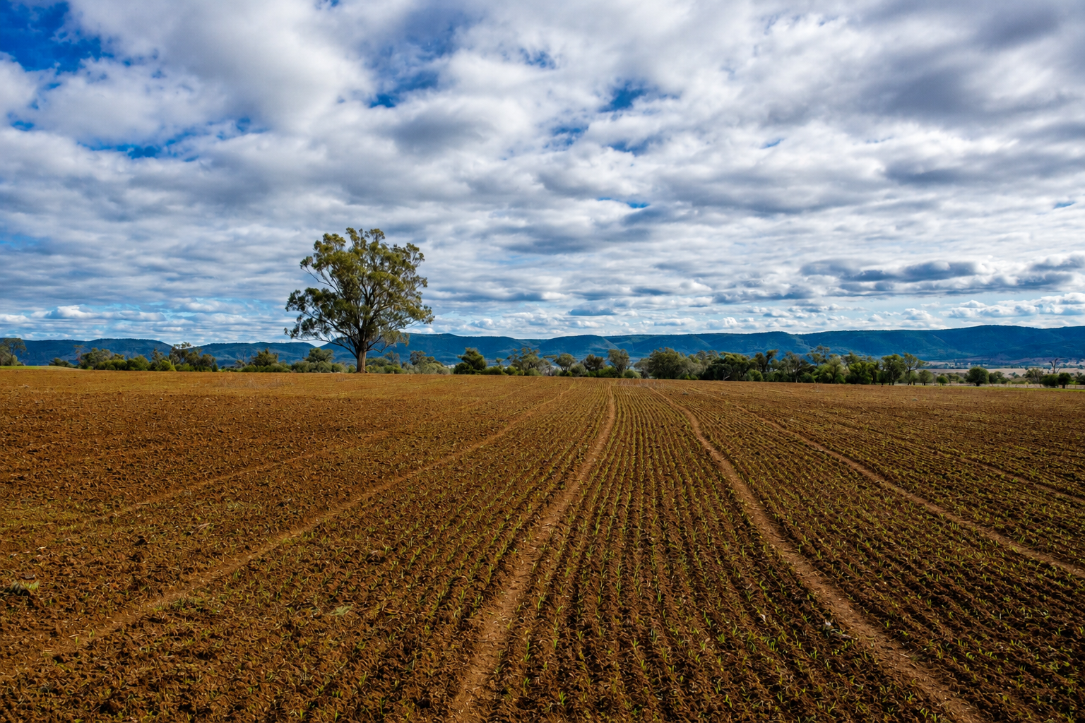 823 Eulourie Road, Bingara For Sale by Farmbuy.com - image 1