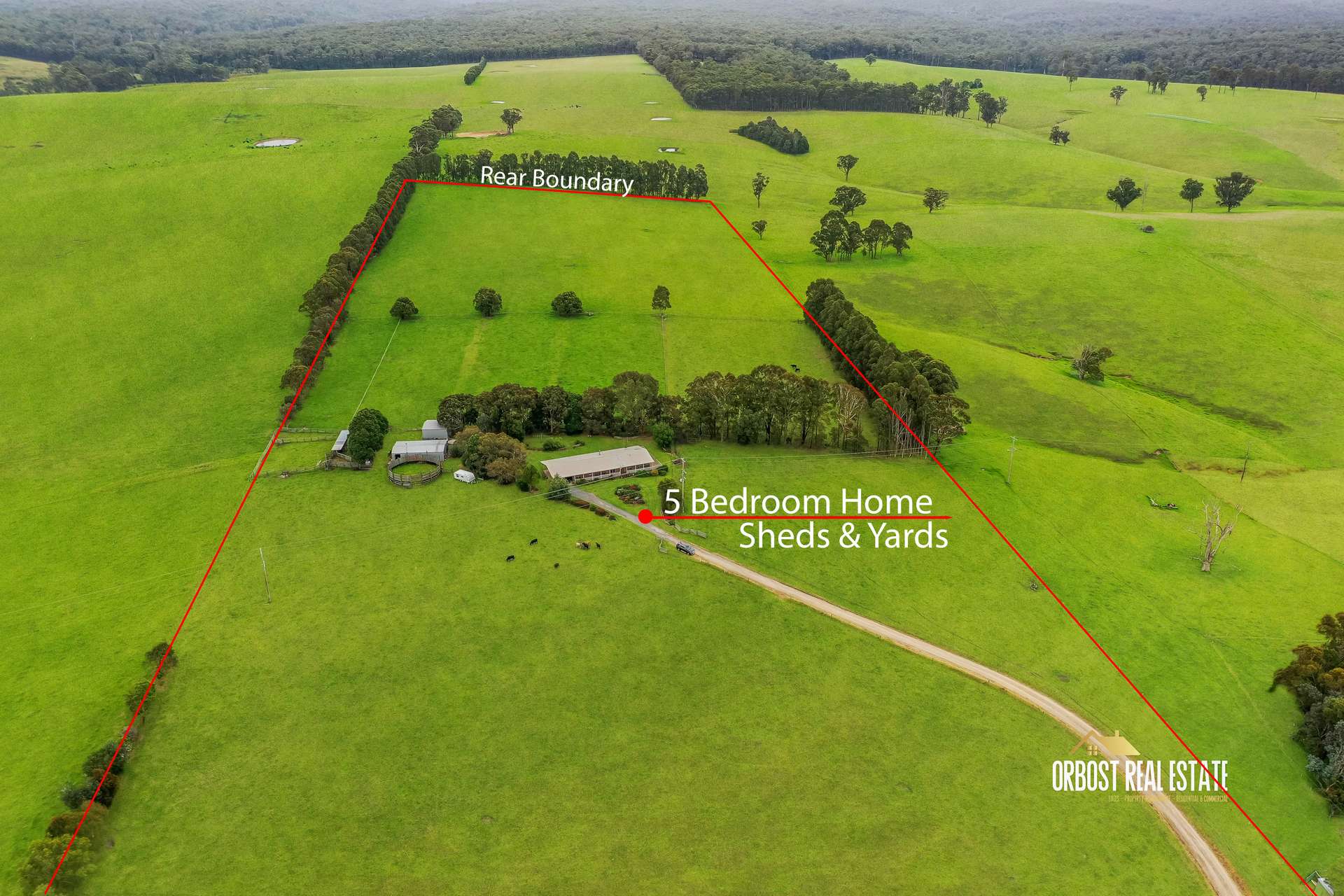 485 Princes Highway, Orbost For Sale by Farmbuy.com - image 22